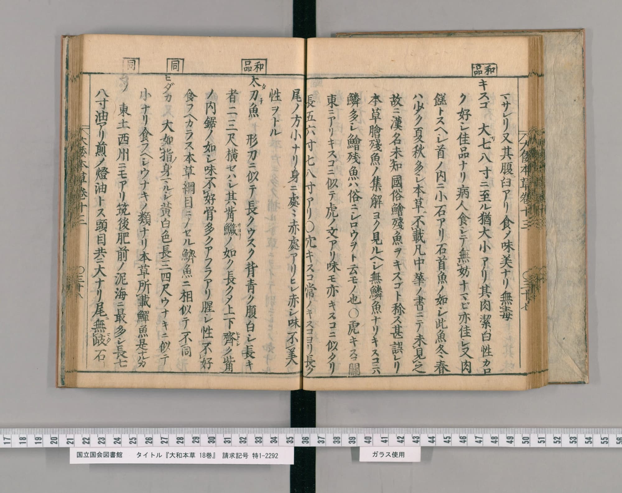 『大和本草』巻十三コマ40の見開き。右ページの「和品」の柱の下に見出し「キスゴ」