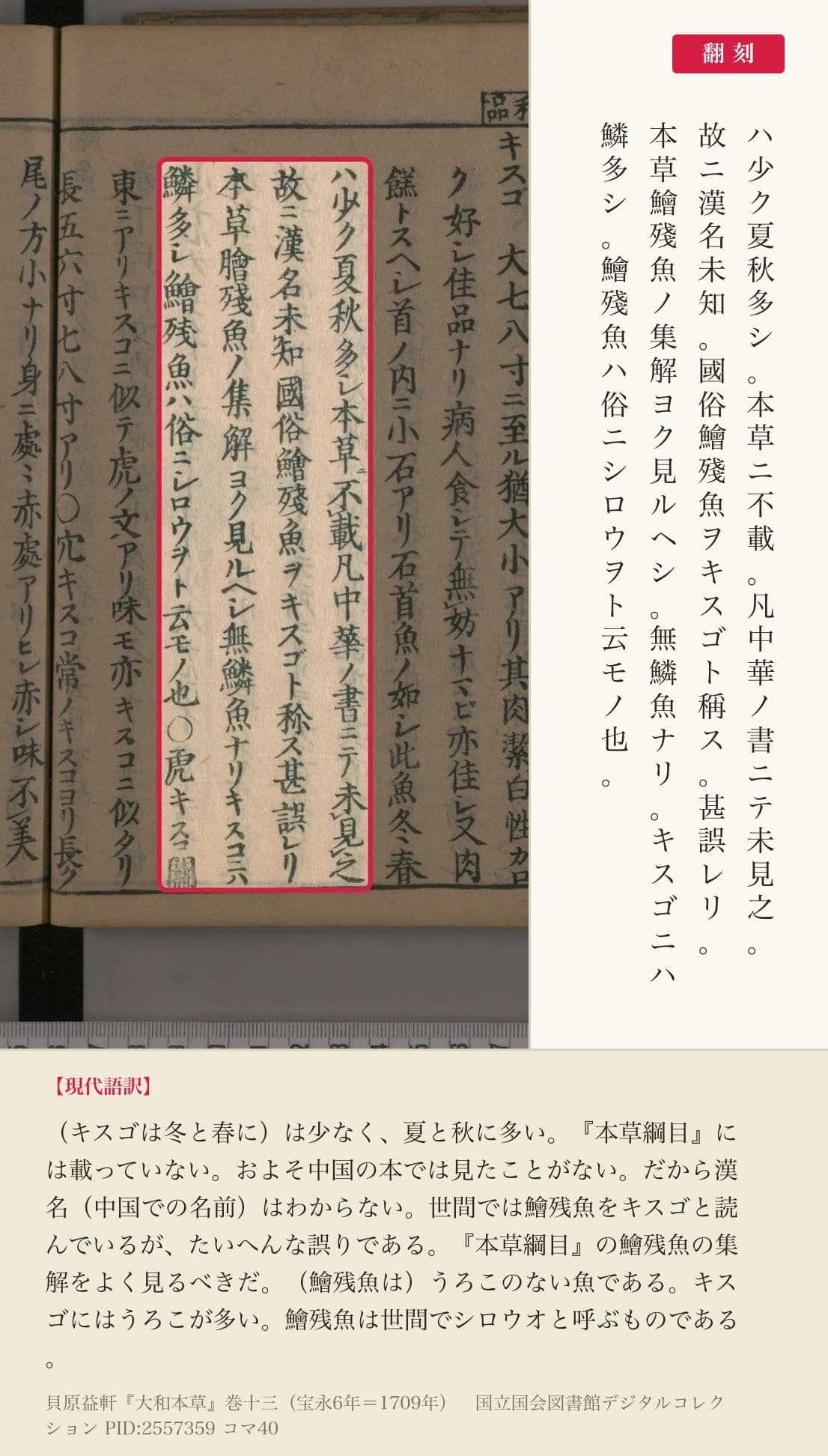 『大和本草』巻十三コマ40の「本草ニ不載凡中華ノ書ニテ未見之故ニ漢名未知」を含む4列と翻刻