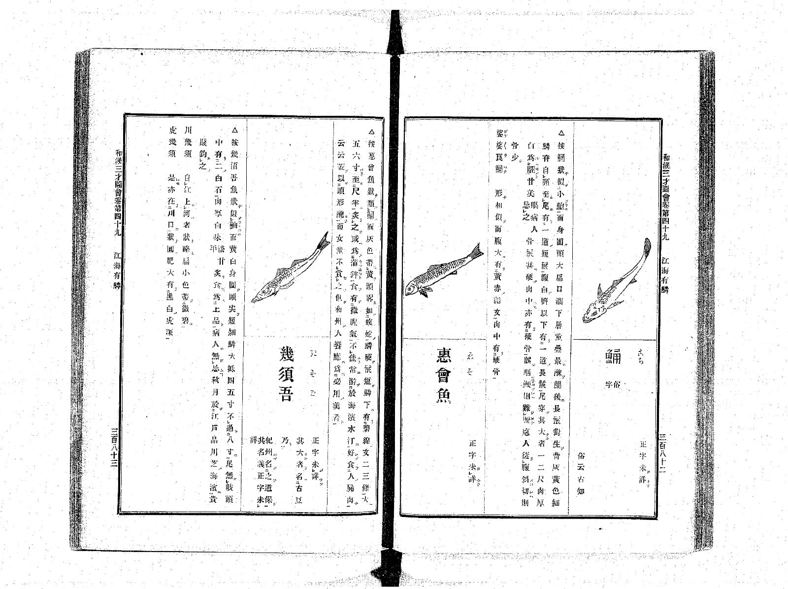 『和漢三才図会』巻四十九の見開き。右ページの右に鯒の図と見出し