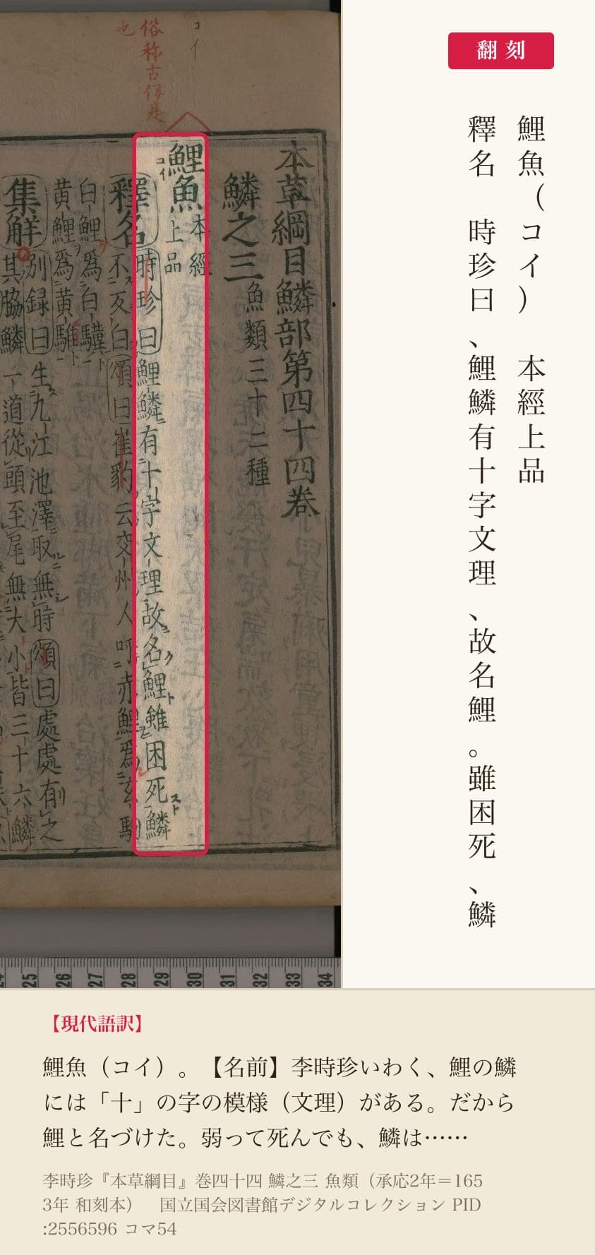 『本草綱目』巻四十四コマ54の見出し「鯉魚」と釈名の2列と翻刻