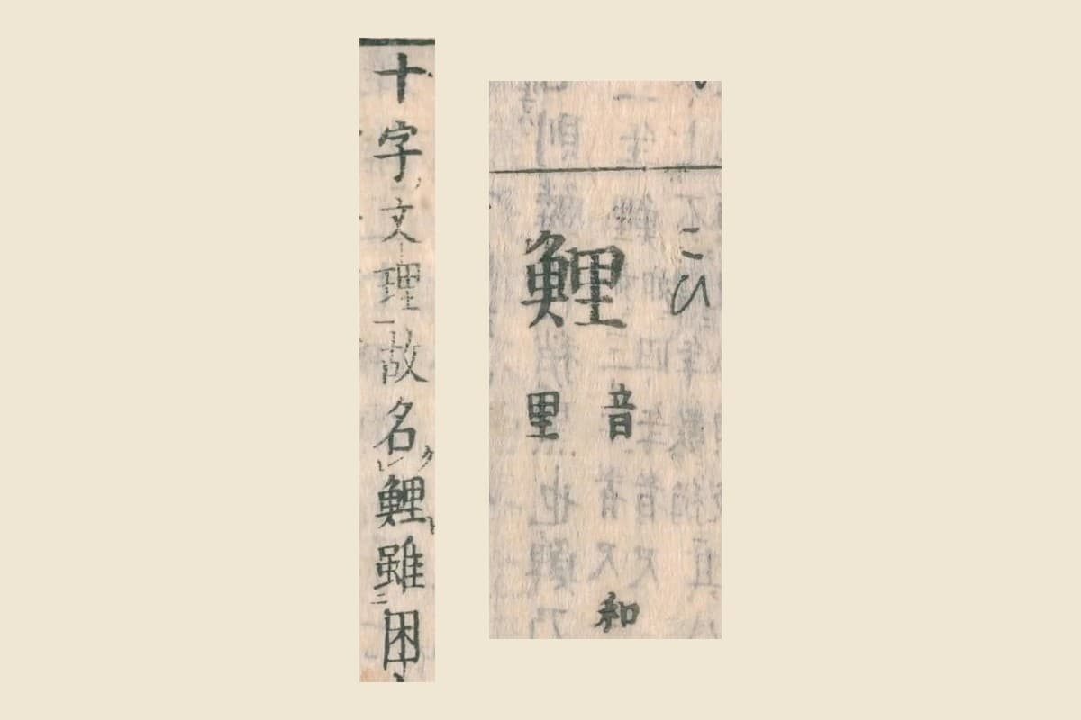 『和漢三才図会』の見出し「鯉（こひ）音里」と本文「十字文理故名鯉」の大写し