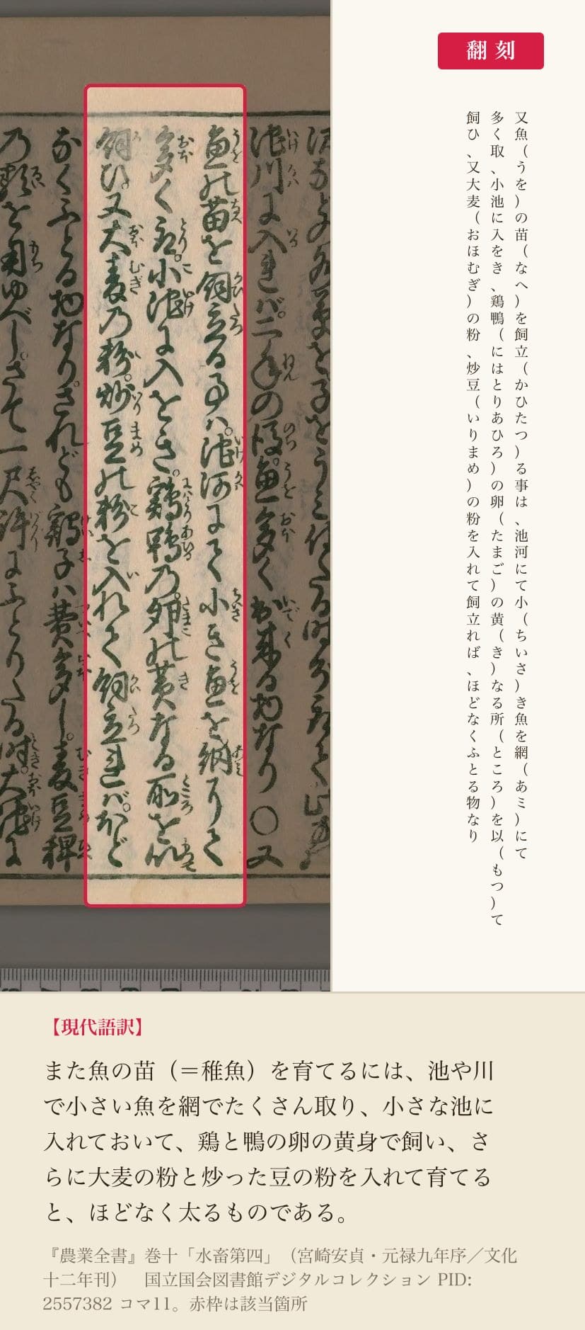 稚魚の育て方を記した三行、赤枠と翻刻