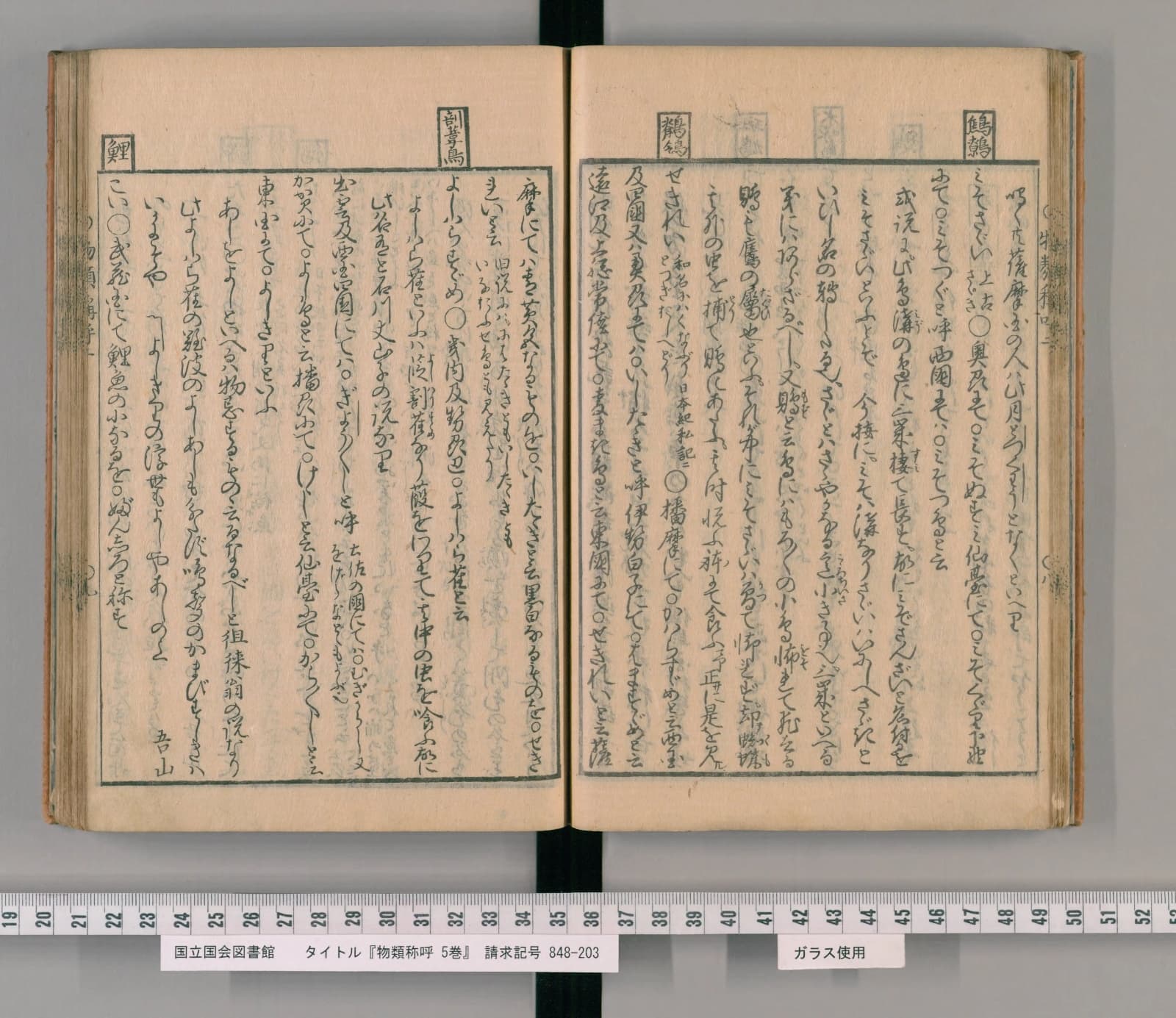 『物類称呼』巻2 鯉の項 見開き全体（PID 2539349 コマ28）