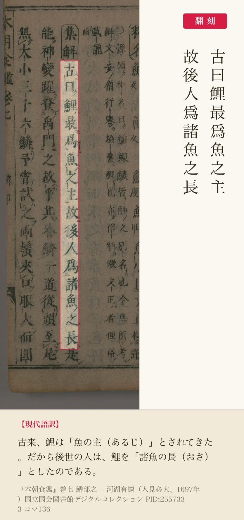 『本朝食鑑』鯉の項「古曰鯉最爲魚之主故後人爲諸魚之長」の赤枠注釈と翻刻（PID2557333 コマ136）