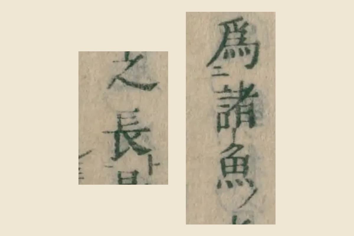 『本朝食鑑』巻七 コマ136「爲諸魚之長」の大写し