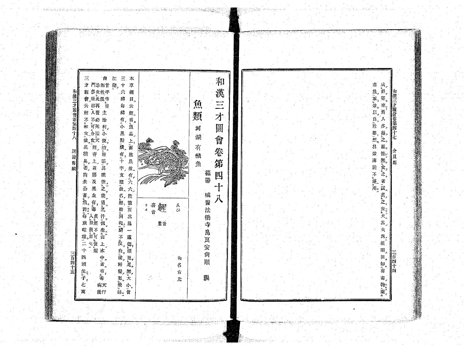 『和漢三才図会』巻48 河湖有鱗魚 コマ179（PID 898161）