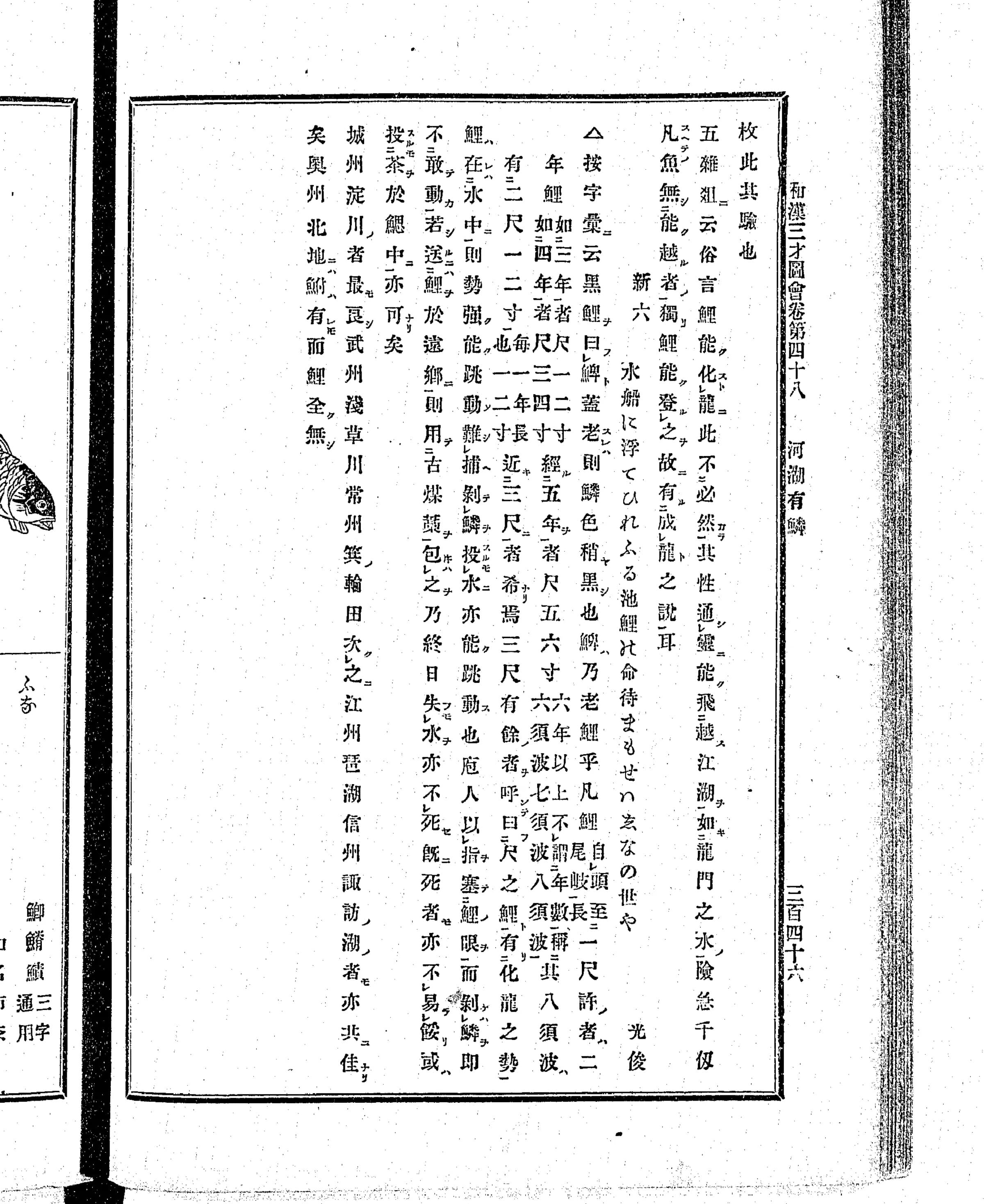 『和漢三才図会』鯉の産地と登竜門 クローズアップ（PID 898161 コマ180）