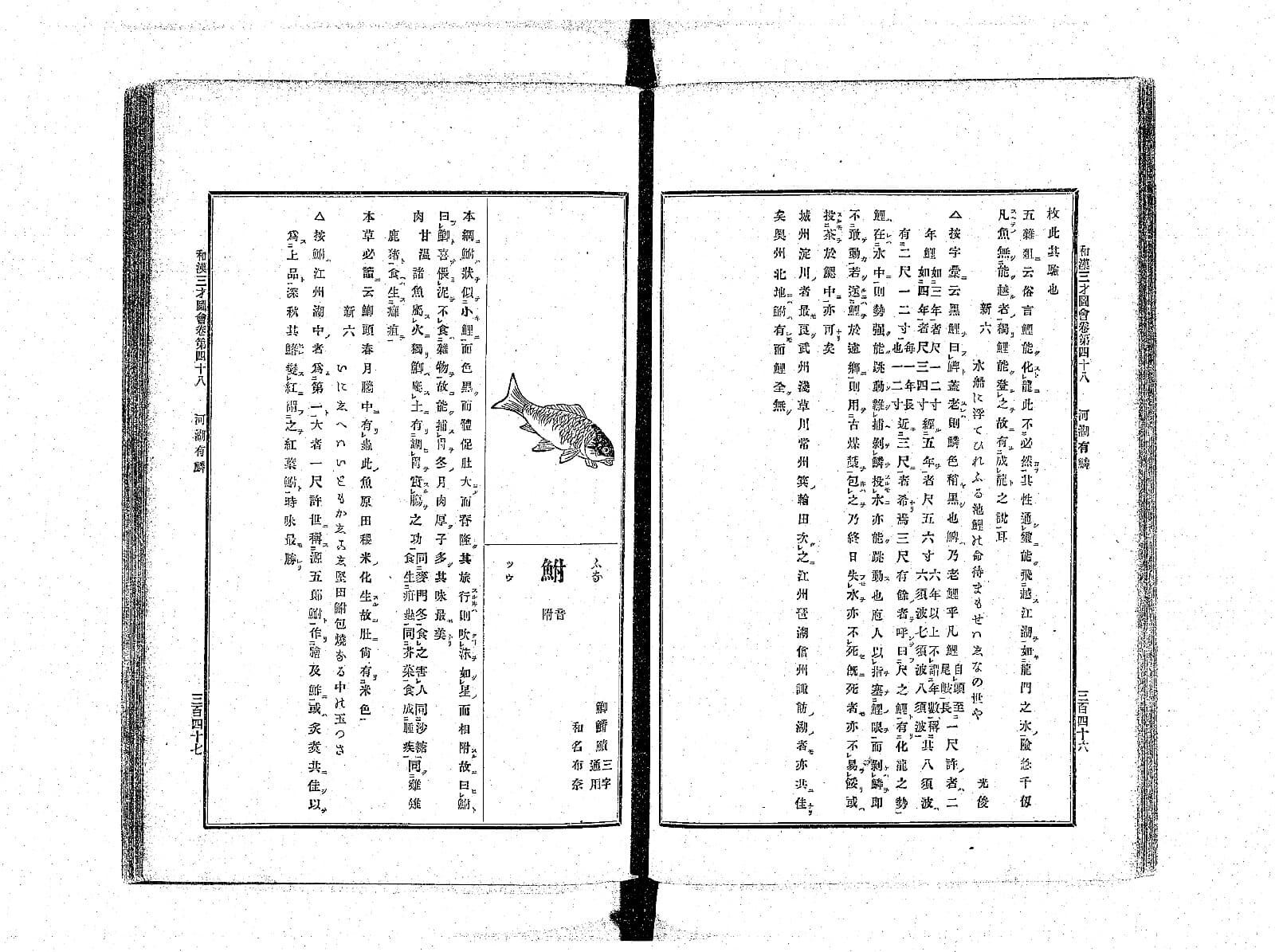 『和漢三才図会』鯉の項 続き コマ180（PID 898161）