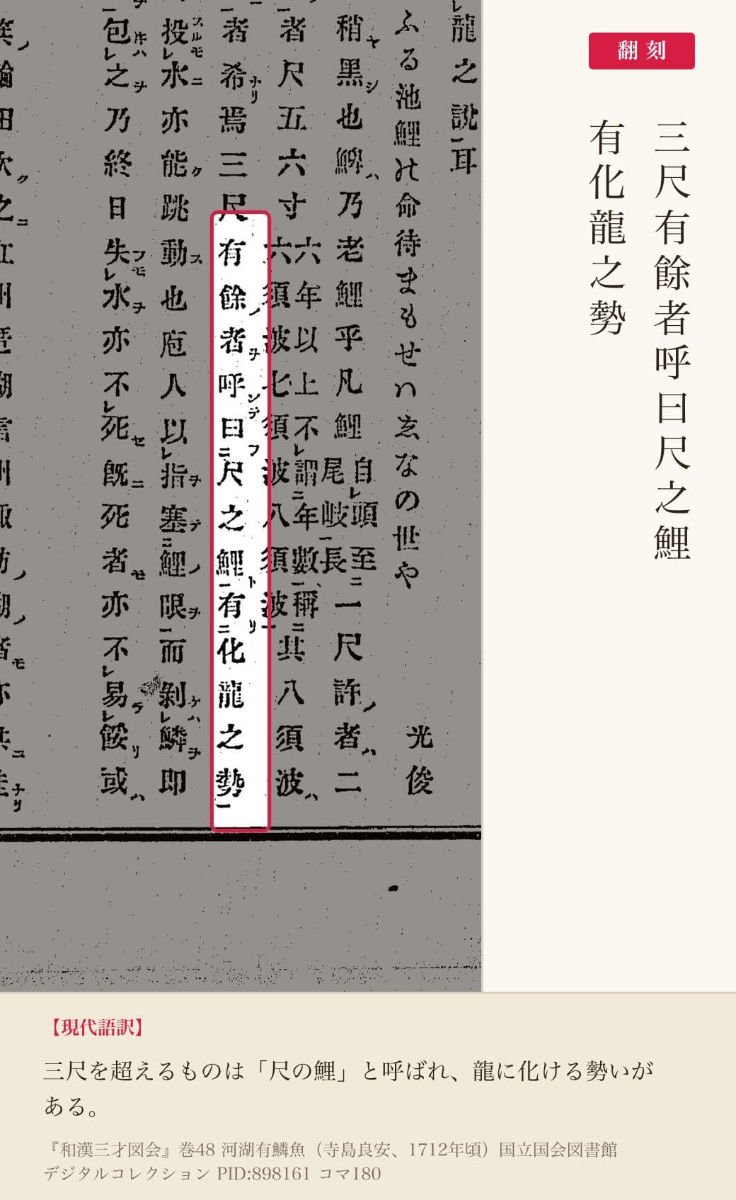 『和漢三才図会』鯉の項「三尺有餘者呼曰尺之鯉 有化龍之勢」の赤枠注釈と翻刻（PID898161 コマ180）