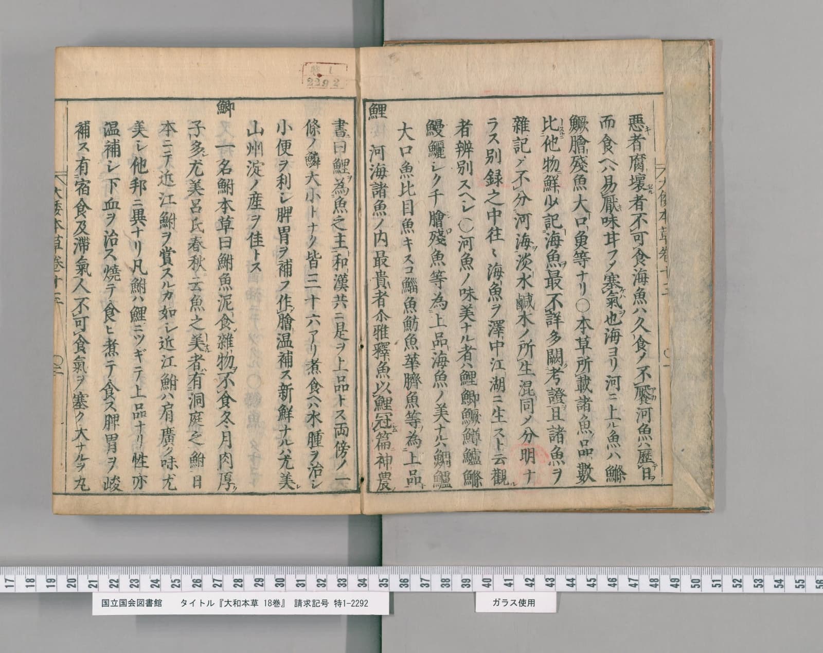 『大和本草』巻十三 魚之上 コマ4（PID 2557359）