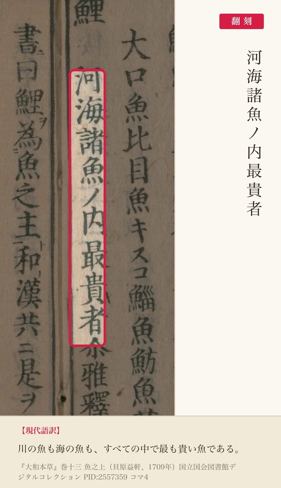 『大和本草』鯉の項「河海諸魚ノ内最貴者」の赤枠注釈と翻刻（PID2557359 コマ4）