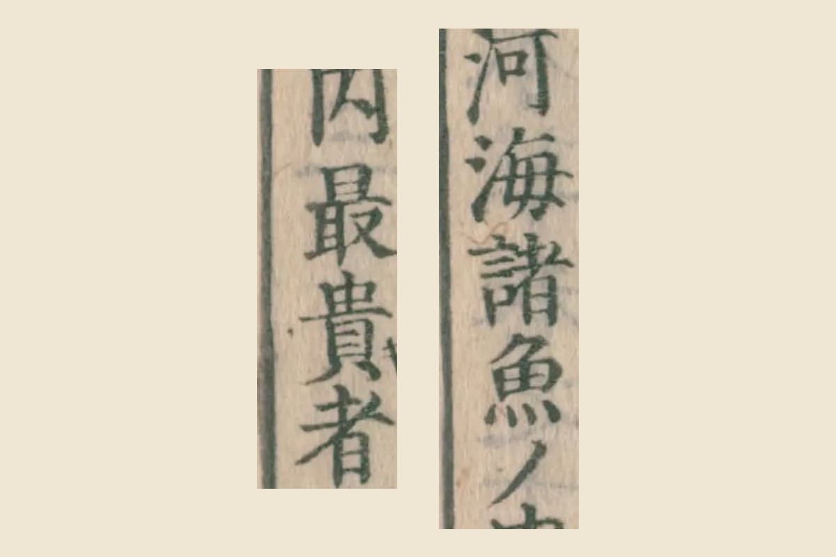 『大和本草』巻十三 コマ4「河海諸魚ノ内最貴者」の大写し