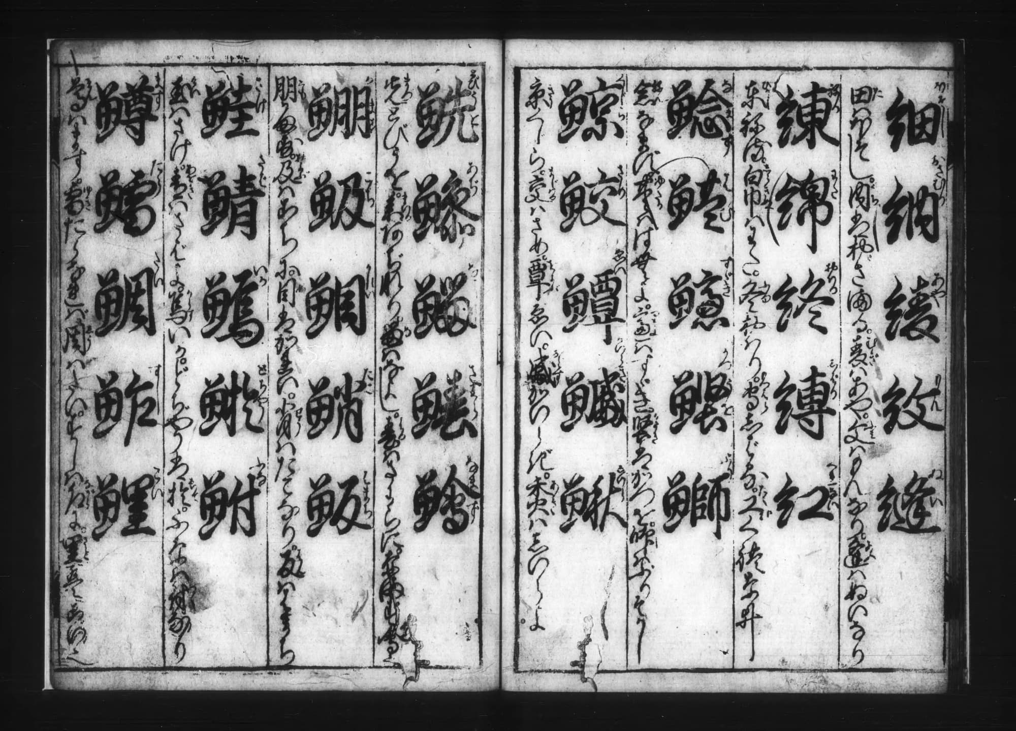 『小野篁歌字尽』コマ15の見開き。魚へんの大きな字が一列五字ずつ並ぶ