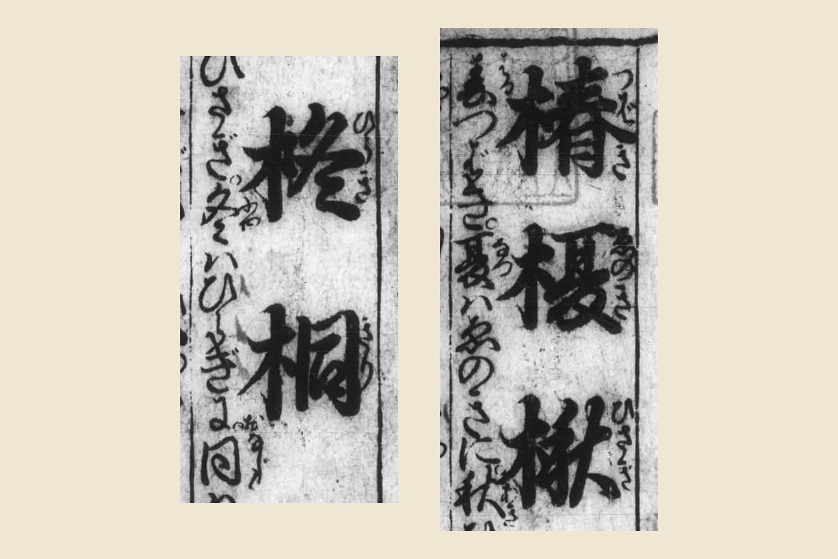 『小野篁歌字尽』巻頭の列「椿 榎 楸 柊 桐」と脇の歌の大写し
