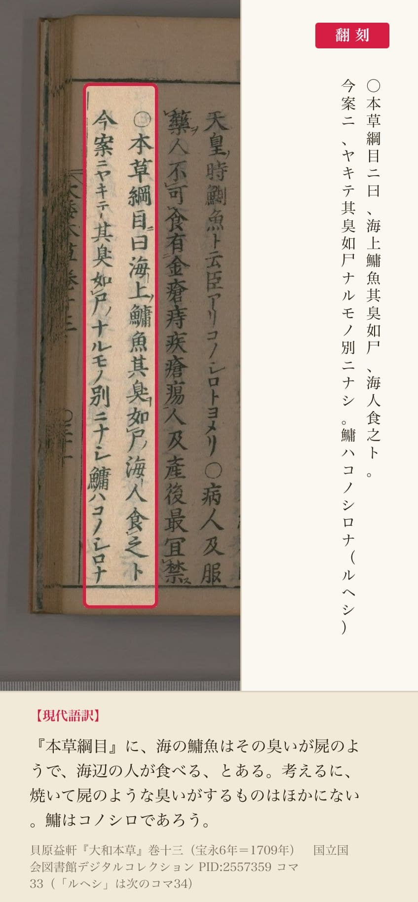 『大和本草』コマ33の「本草綱目ニ曰海上鱅魚其臭如尸」から「鱅ハコノシロナ」までの2列と翻刻