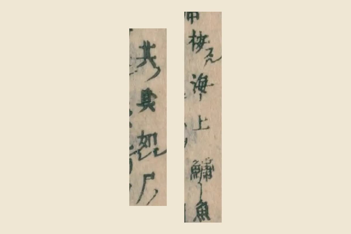 『本朝食鑑』巻八 釈名の割注「按海上鱅魚」「其臭如尸」の大写し