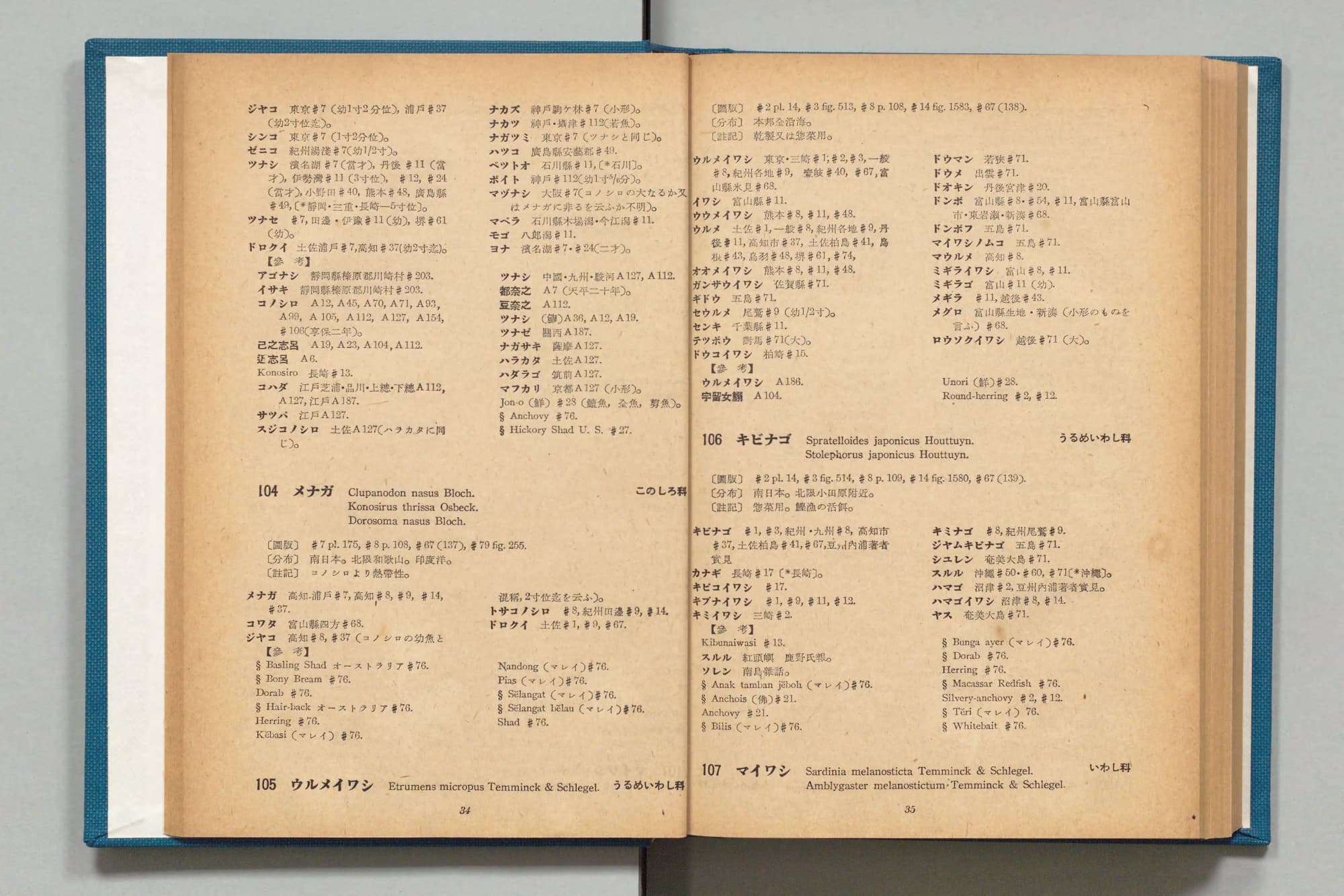『日本魚名集覧』第1部の見開き。左ページの上半分にコノシロの呼び名のつづきと【參考】が二段で並び、その下に「104 メナガ」の項