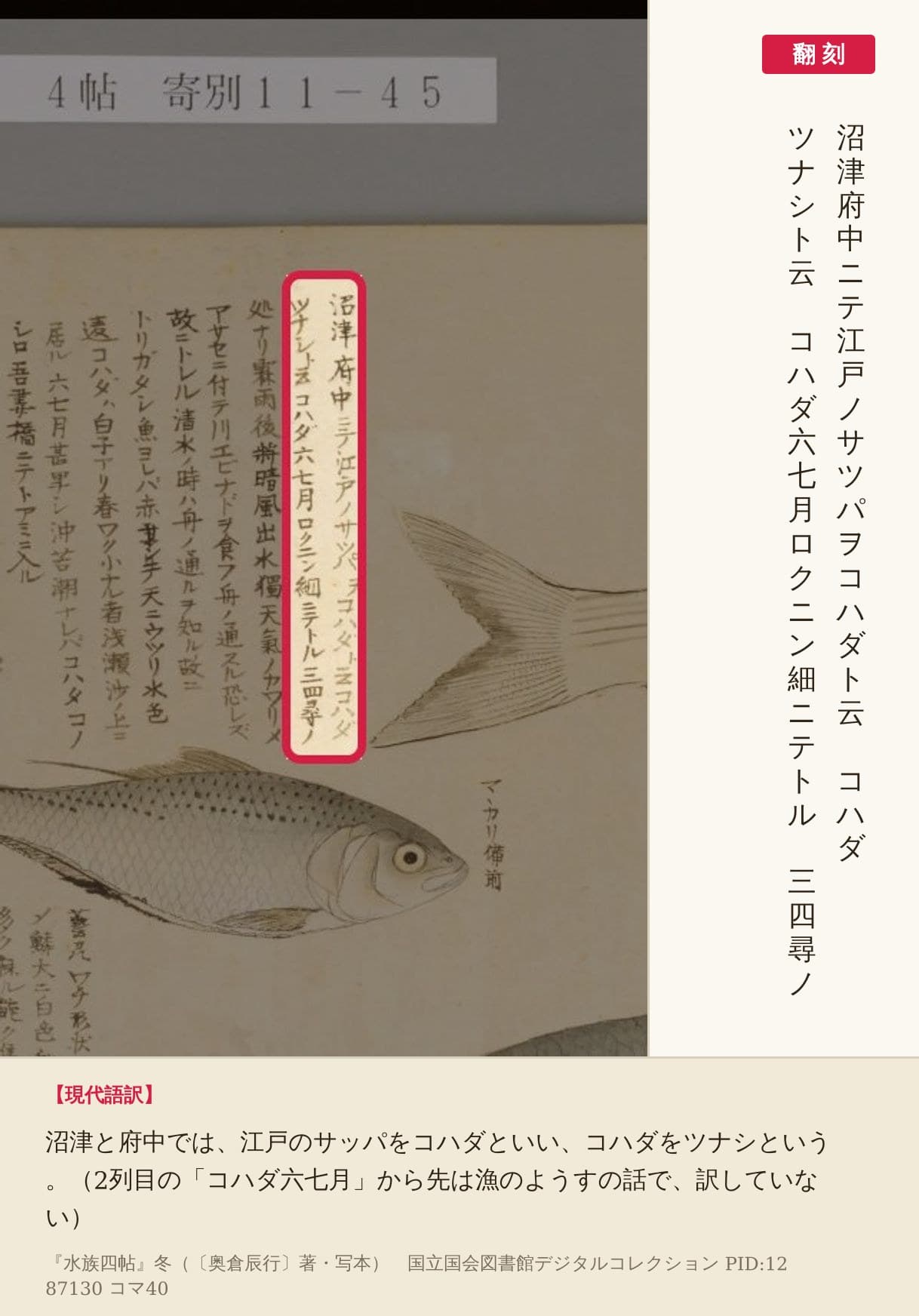 『水族四帖』コマ40の左ページ、沼津・府中の呼び名を書いた2列の赤枠と翻刻