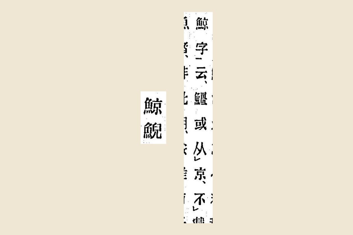 『箋注倭名類聚抄』コマ4の見出し「鯨鯢」と、棭斎の注「鯨字云、䲔或从京、不」の大写し