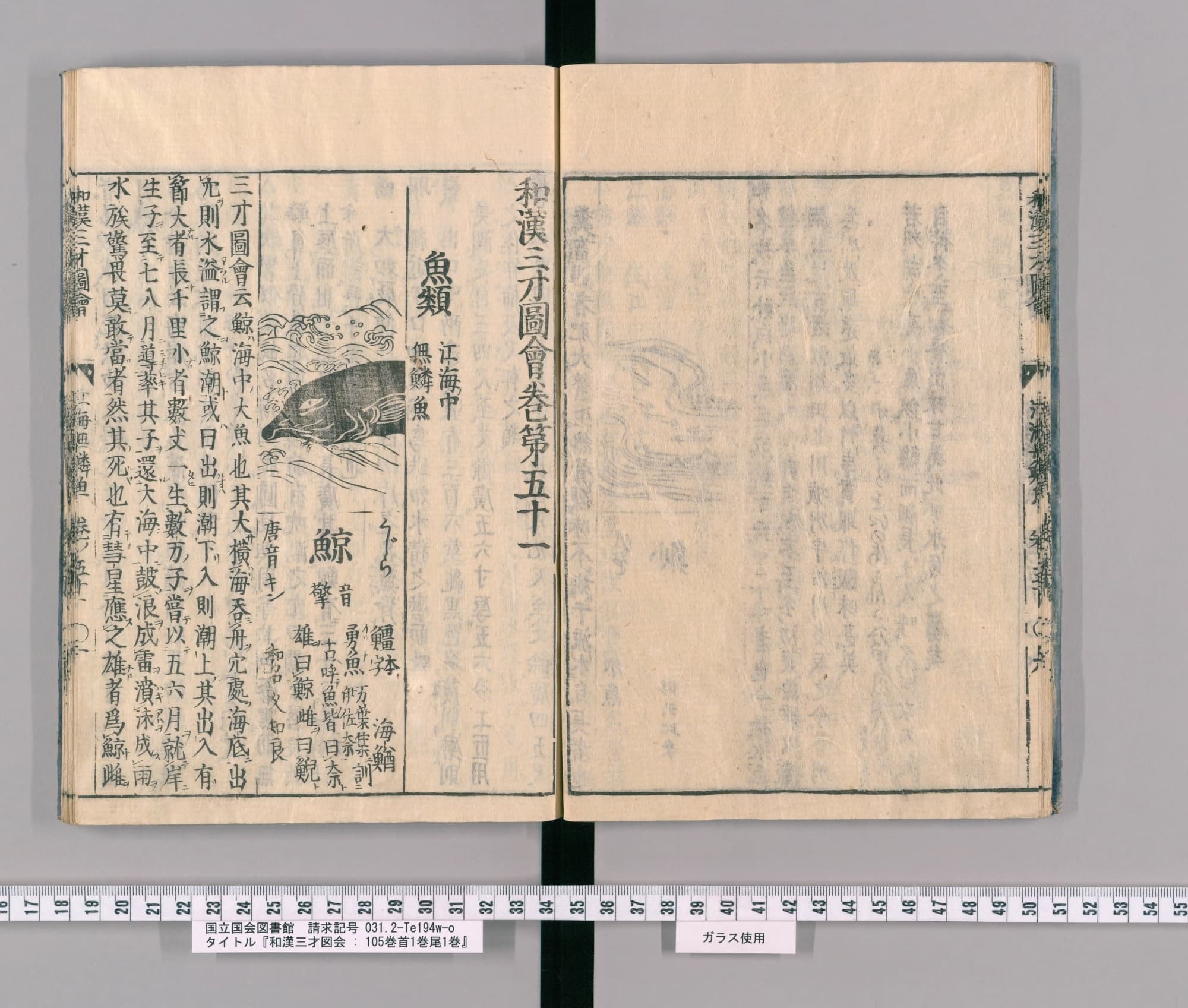『和漢三才図会』巻五十一コマ10の見開き。左ページ上に波間の鯨の絵、その下に見出し「鯨」