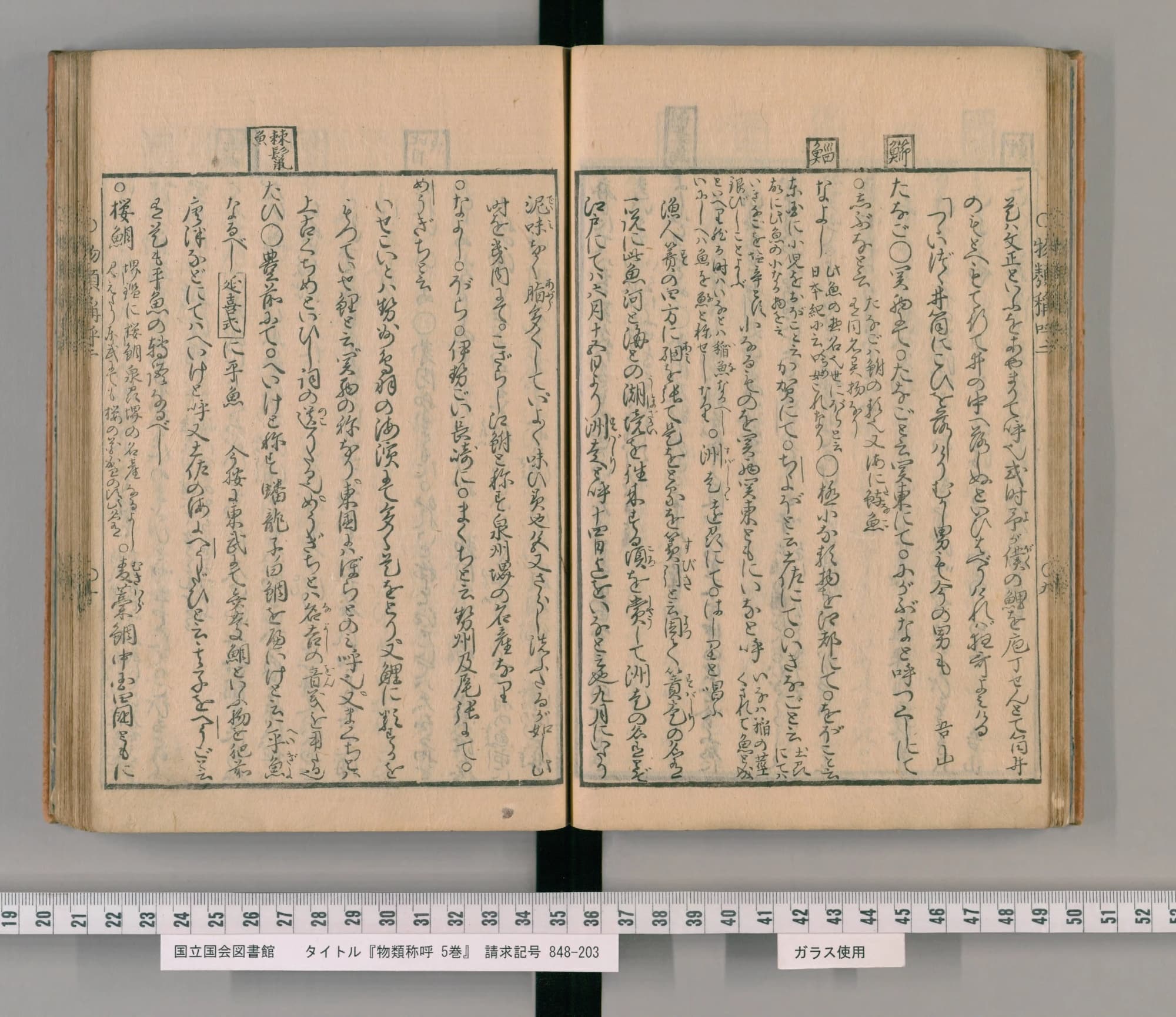 『物類称呼』巻2 生類の部 鯛の項（PID 2539349 コマ29）