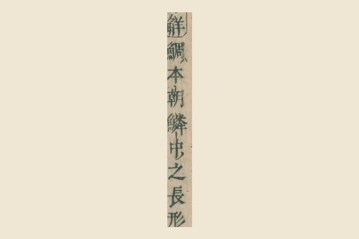 『本朝食鑑』の「集解 鯛ハ本朝鱗中之長形」の大写し