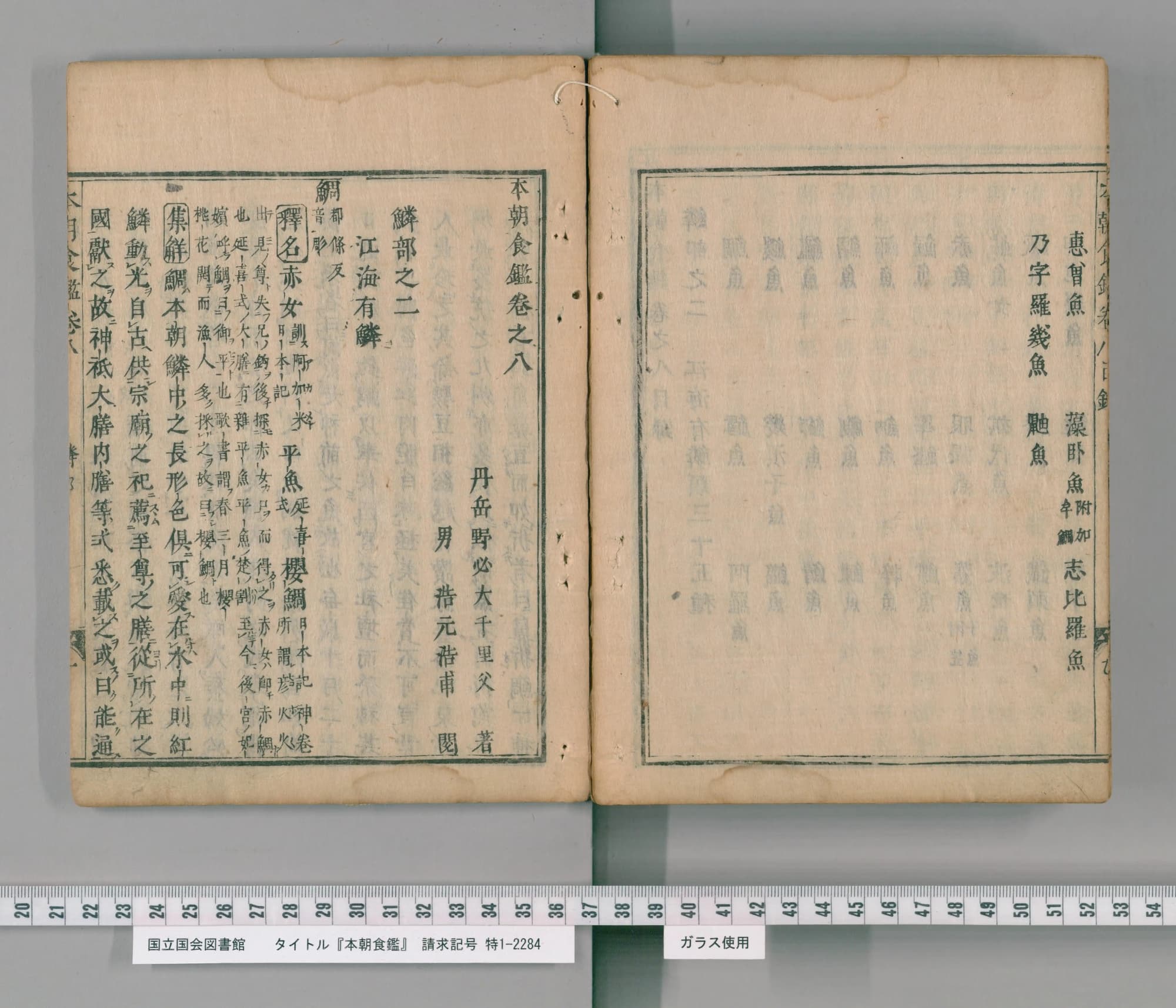 『本朝食鑑』巻之八 鱗部之二 江海有鱗 冒頭の鯛の項（PID 2557333 コマ158）