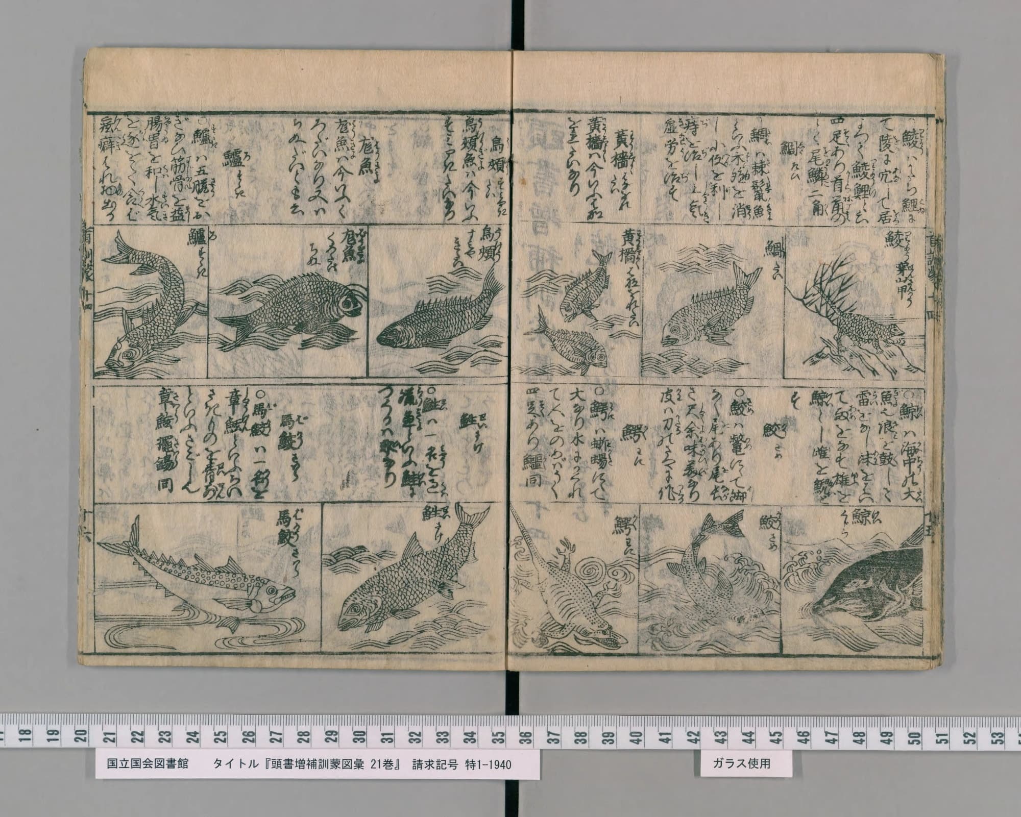 『頭書増補訓蒙図彙』水族の部 鯛を含む魚類図版（PID 2557103 コマ17）