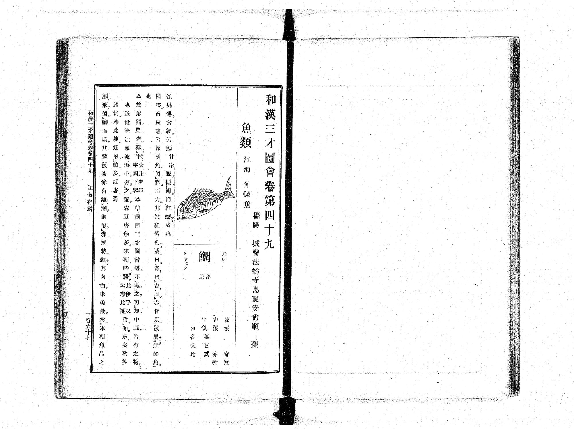 『和漢三才図会』巻第49 江海有鱗魚 冒頭の鯛の項（PID 898161 コマ190）