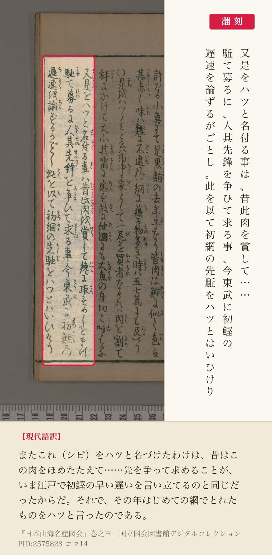 『日本山海名産図会』巻之三コマ14の「又是をハツと名付る事は」から「初網の先駈をハツとはいひけり」までの3列と翻刻