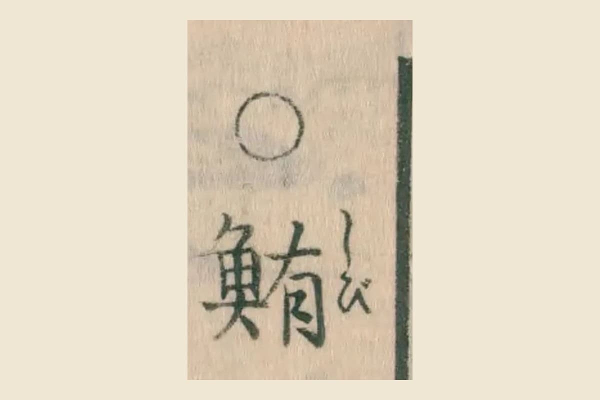 『日本山海名産図会』の見出し「○鮪（しび）」の大写し