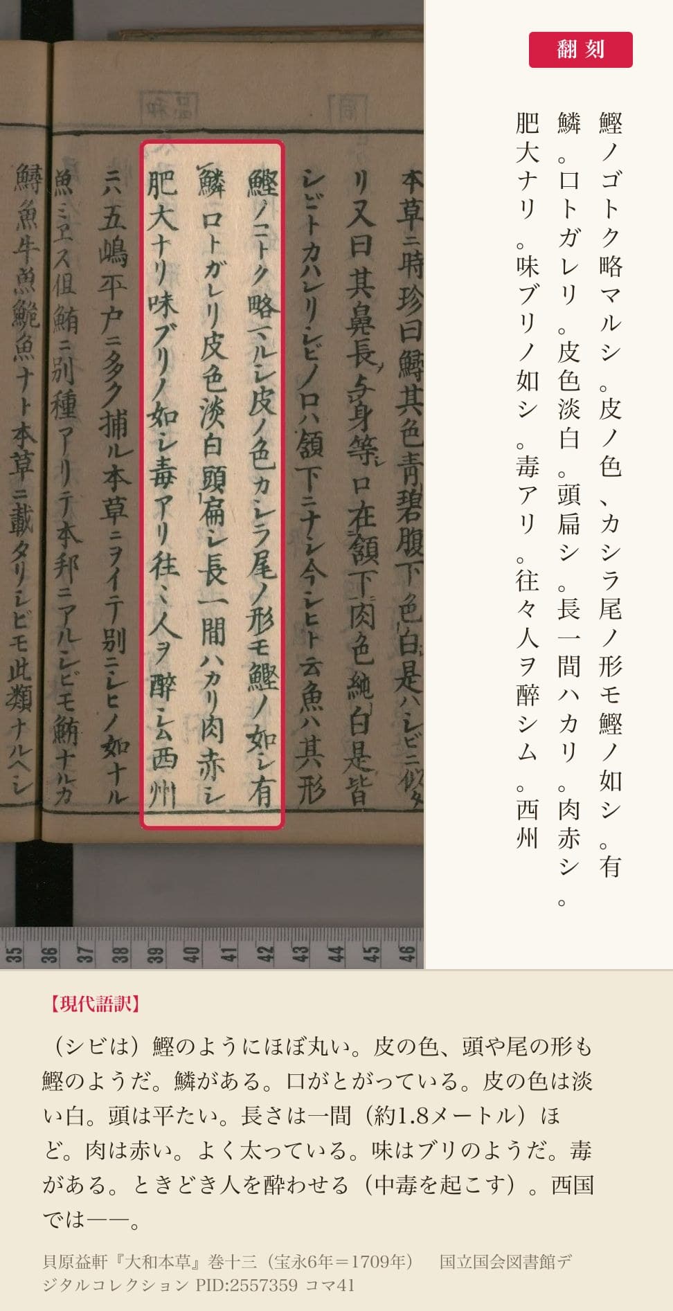 『大和本草』巻十三コマ41のシビの姿と味を書いた3列と翻刻