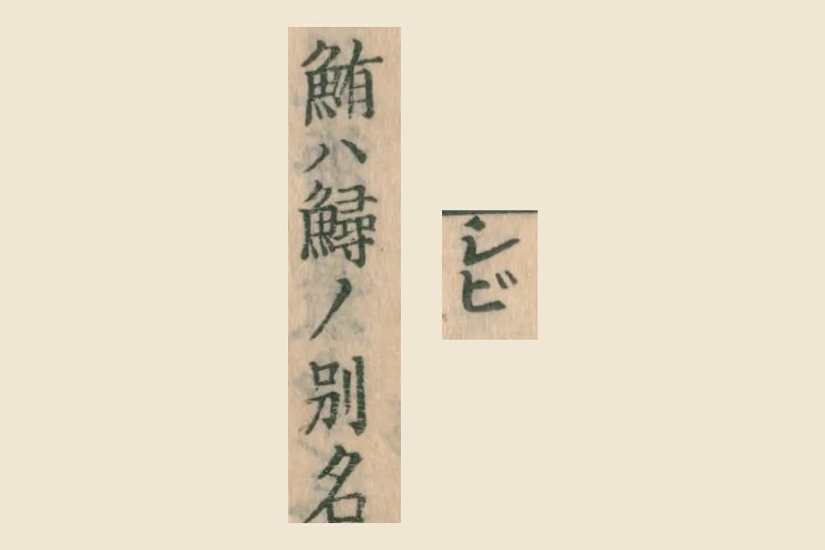 『大和本草』の見出し「シビ」と、本文「鮪ハ鱘ノ別名」の大写し