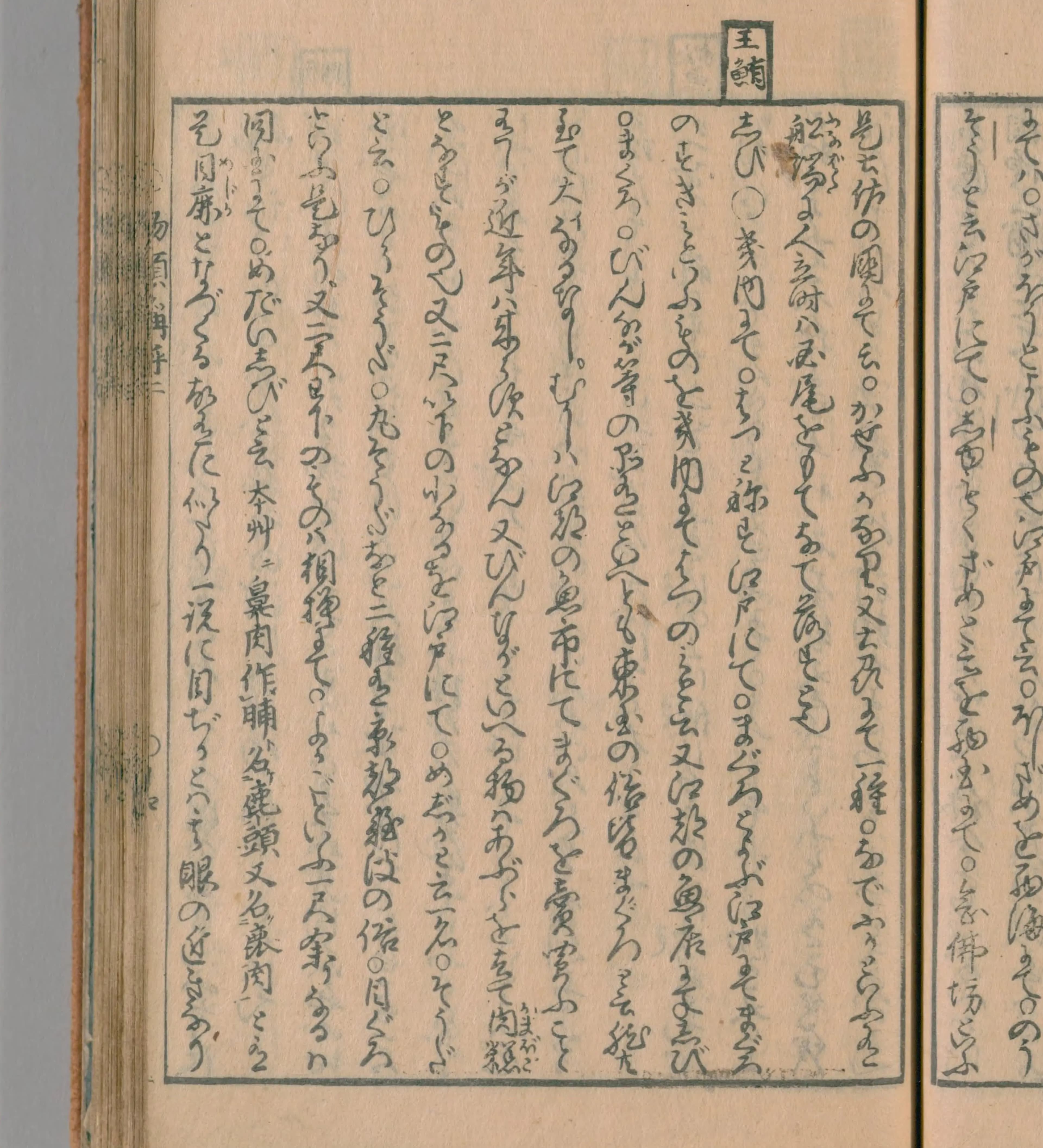 『物類称呼』鮪項のクローズアップ（PID 2539349 コマ33）