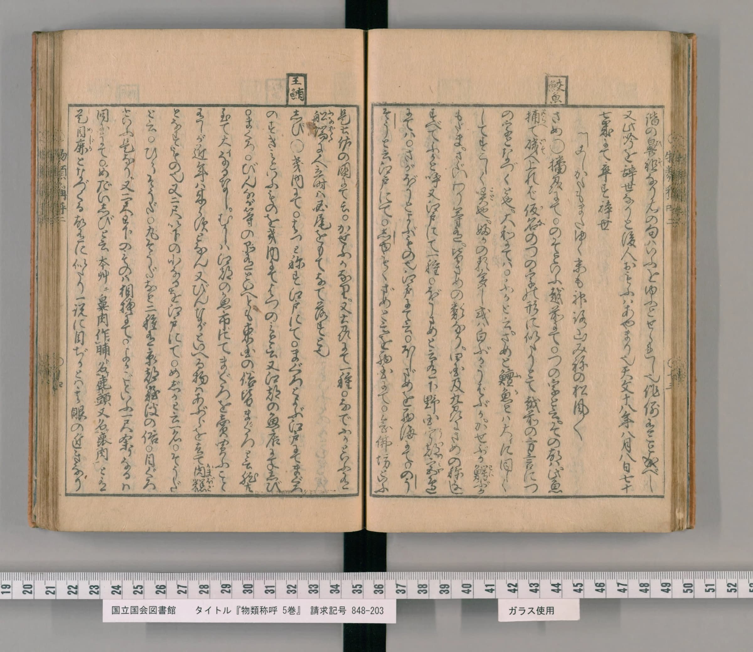 『物類称呼』巻2 鮪の項 見開き全体（PID 2539349 コマ33）