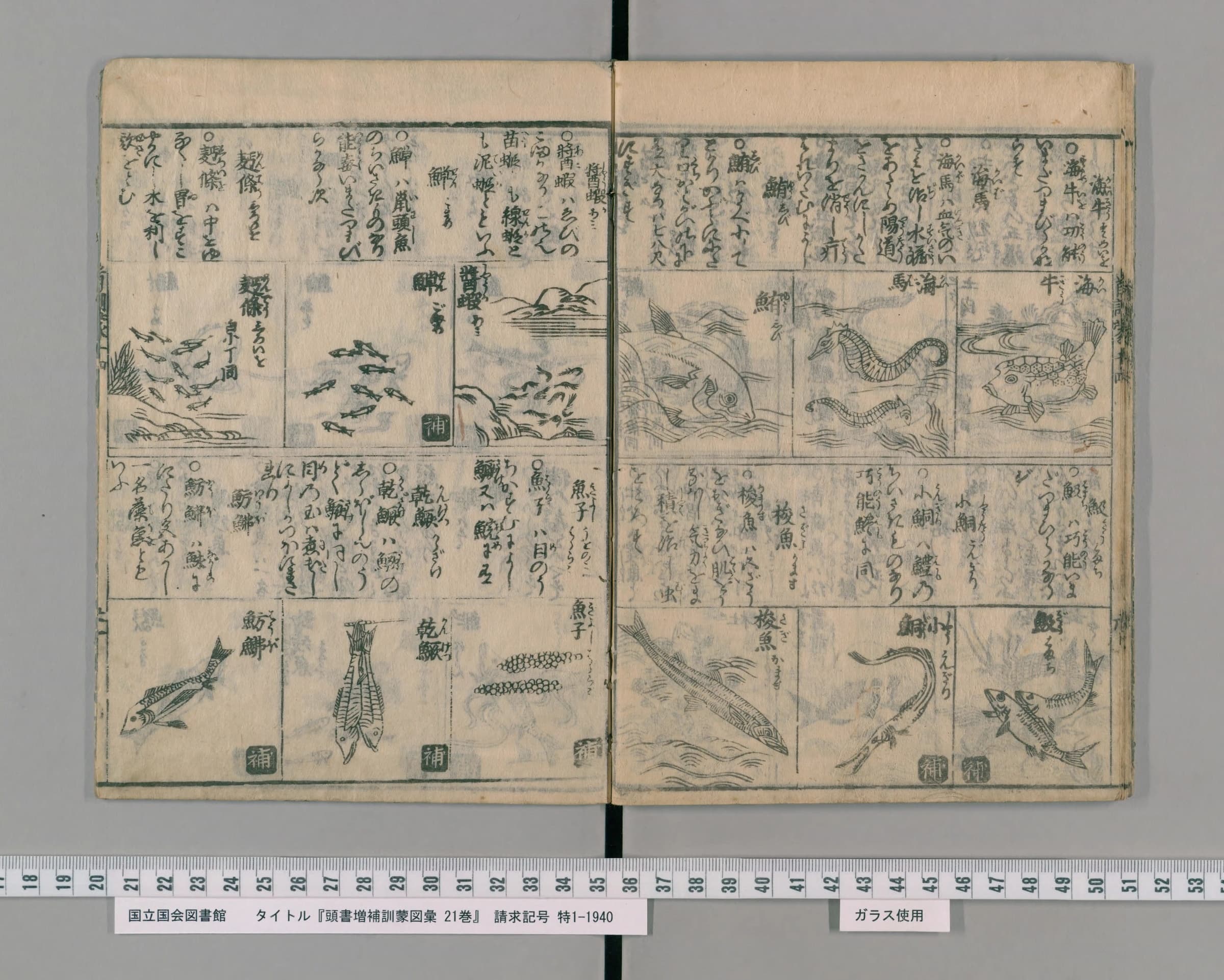 『頭書増補訓蒙図彙』水族の部 鮪の項（PID 2557103 コマ22）