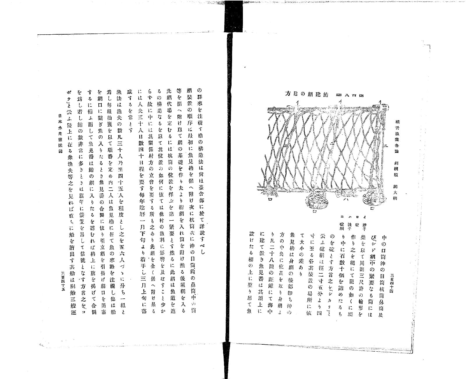 日本水産捕採誌 鮪大網のページ