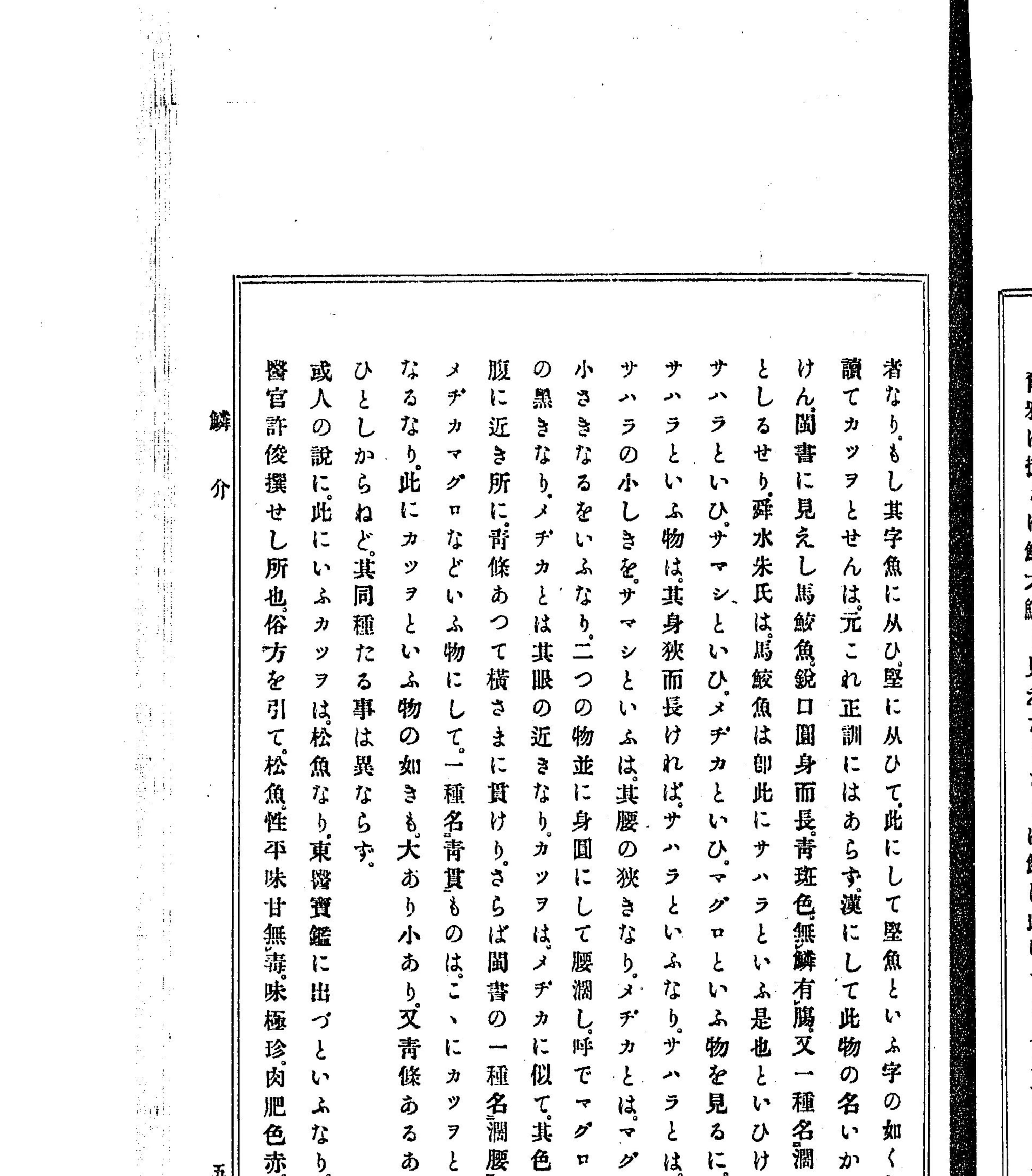 『東雅』堅魚項 マグロ言及部のクローズアップ（PID 993111 コマ33 左ページ）