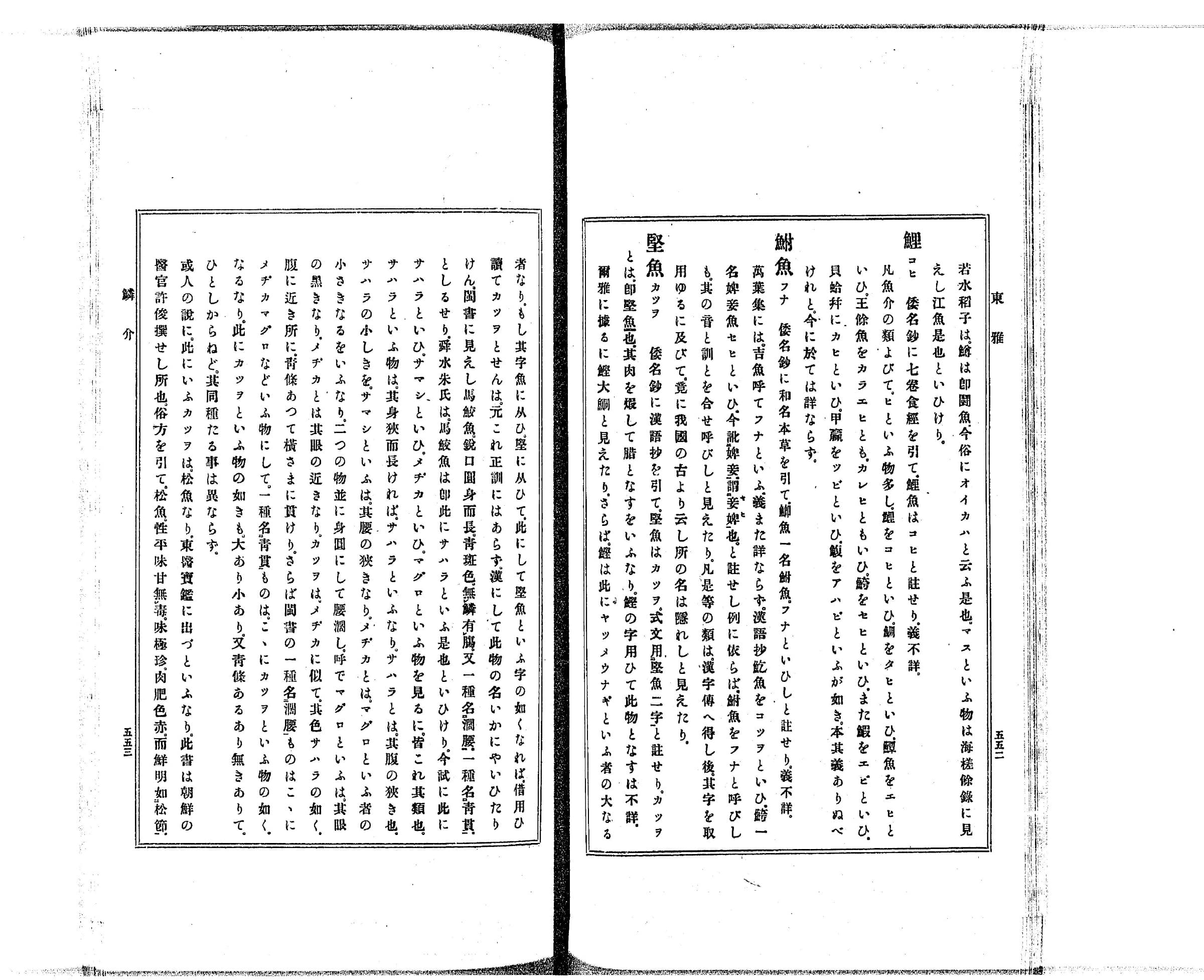 『東雅』巻19 鱗介部 堅魚の項 見開き全体（PID 993111 コマ33）
