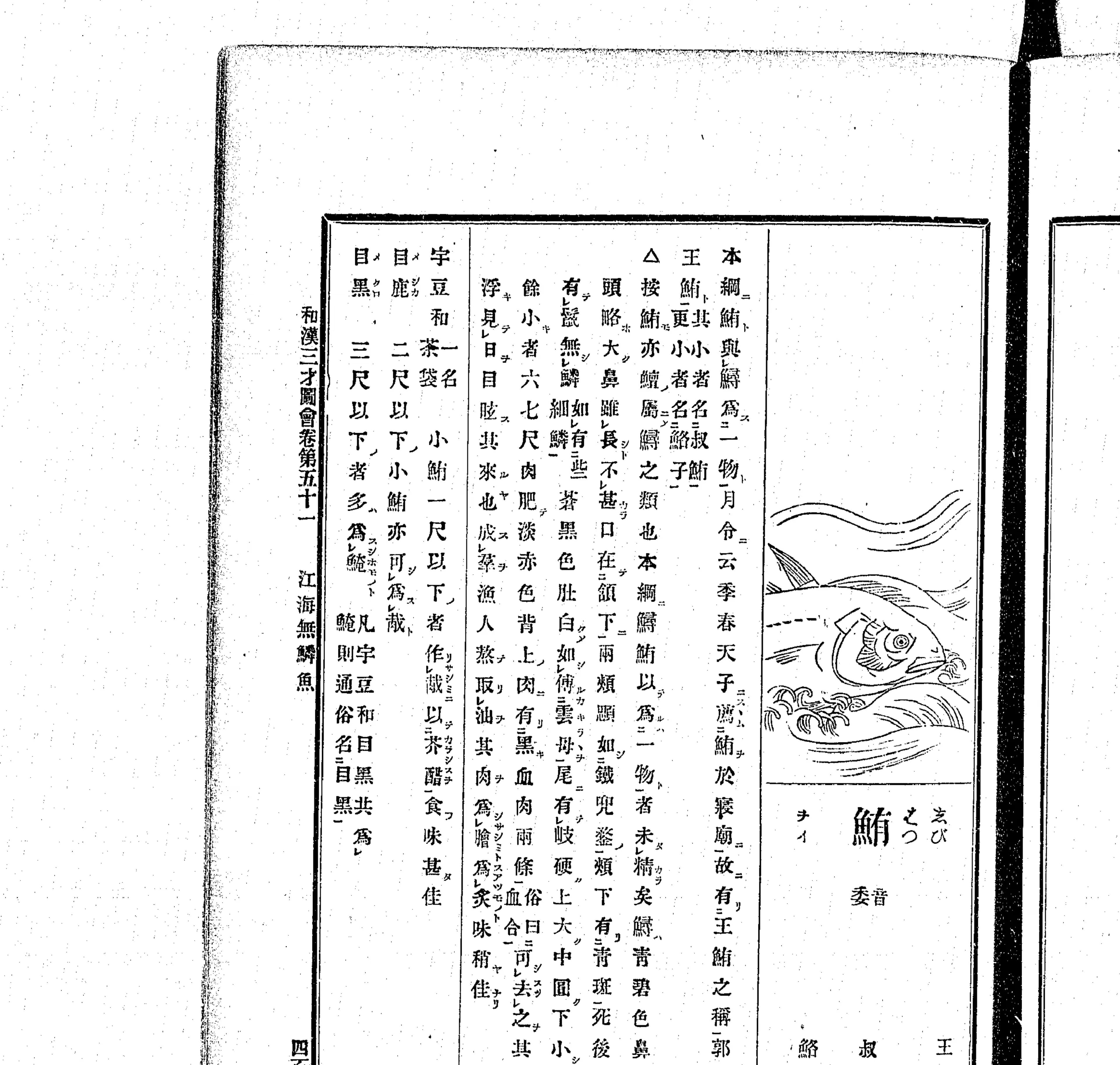 『和漢三才図会』鮪の図版クローズアップ（PID 898161 コマ216 左ページ）