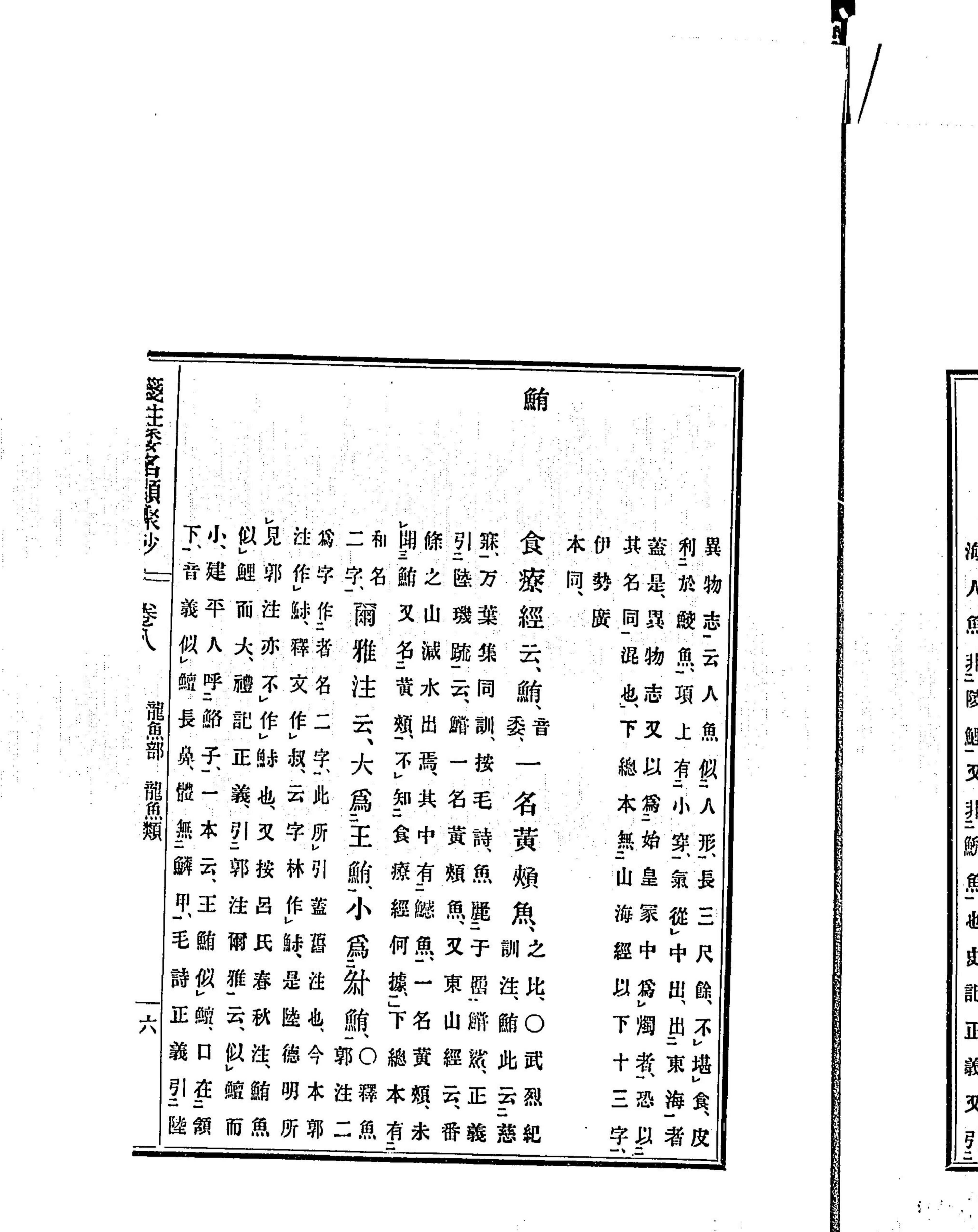 『箋注倭名類聚抄』鮪の項 クローズアップ（PID 991791 コマ7）