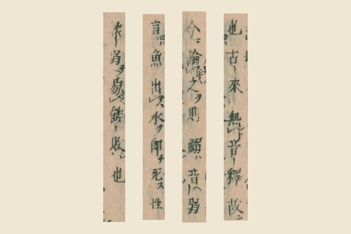 『本朝食鑑』の「也古來無音釋故」「今論之則鰯ハ音ハ弱」「言此魚出水即死性」「柔弱易餒敗也」の大写し