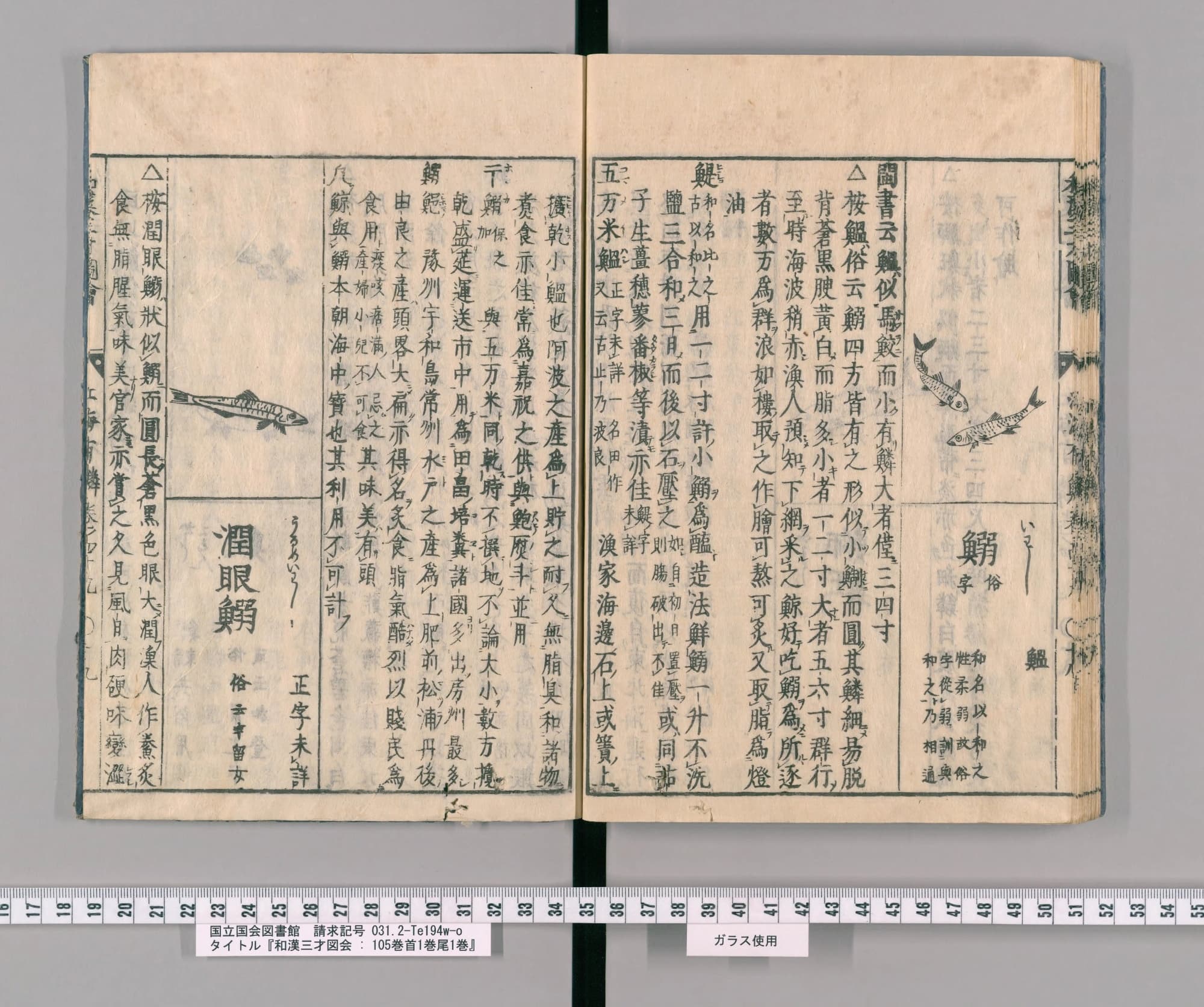 『和漢三才図会』巻四十九コマ36の見開き。右ページの区画に小さな魚が二匹と見出し「鰯」