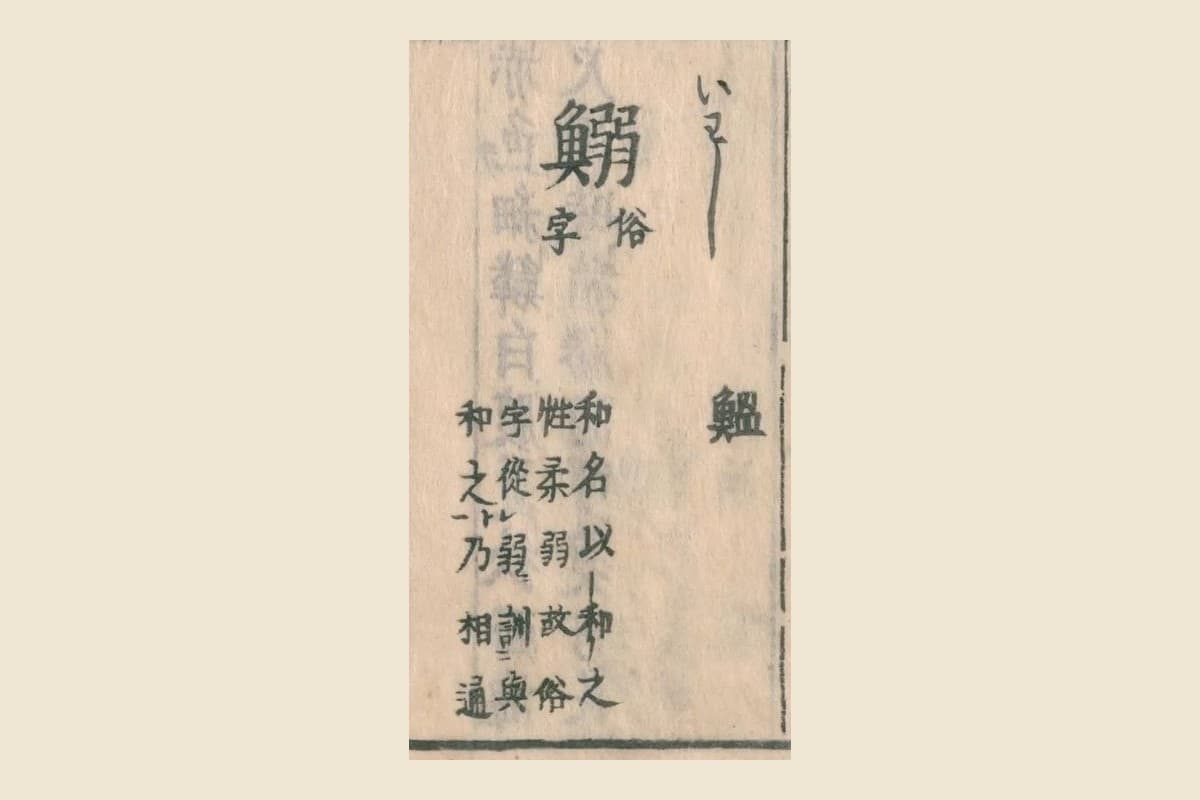 『和漢三才図会』の見出し「鰯（いわし）俗字」と、脇の「鰮」「和名以和之 性柔弱故俗字從弱 訓與和之乃相通」の大写し