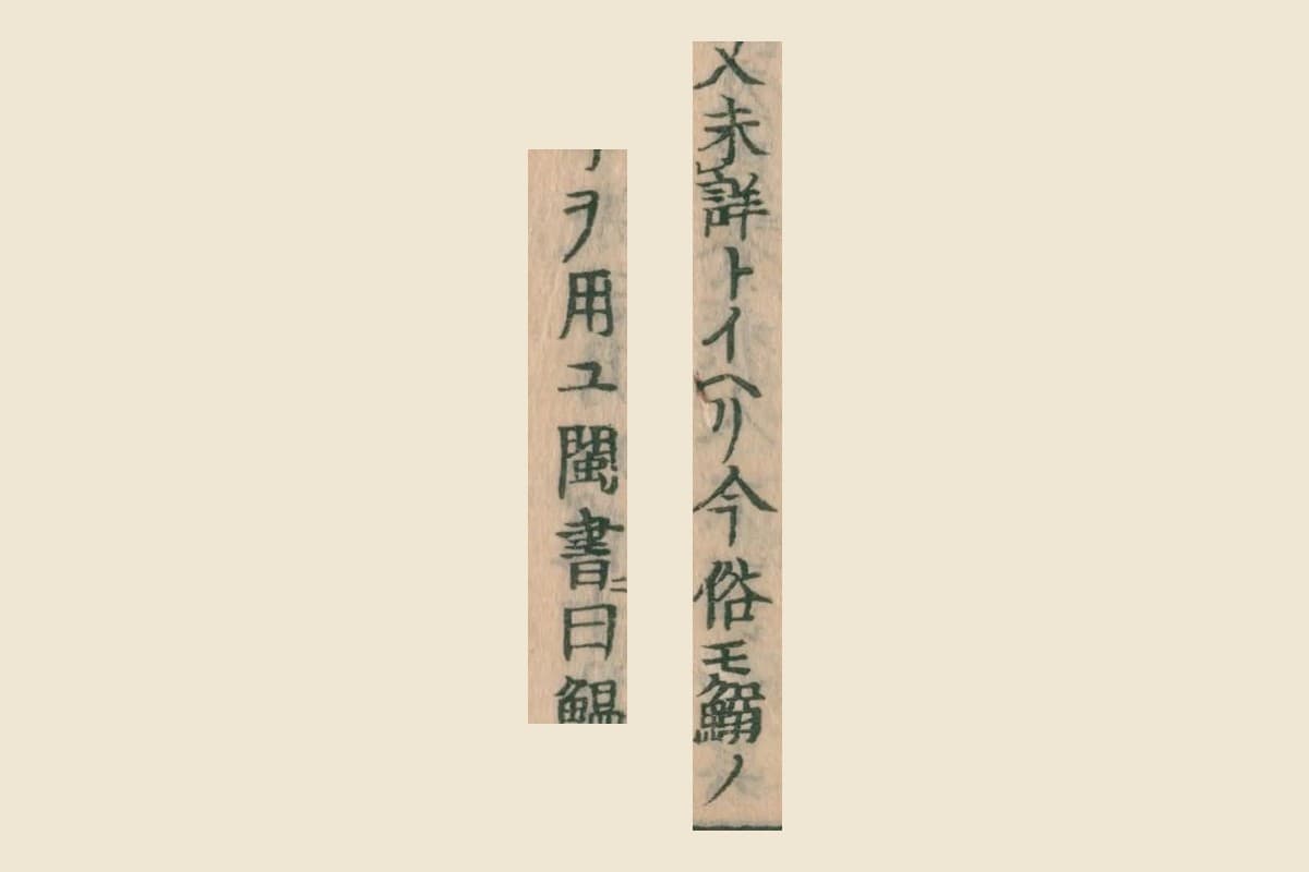 『大和本草』コマ30の「本文未詳トイヘリ今俗モ鰯ノ」と次の列の「字ヲ用ユ閩書曰鰮」の大写し