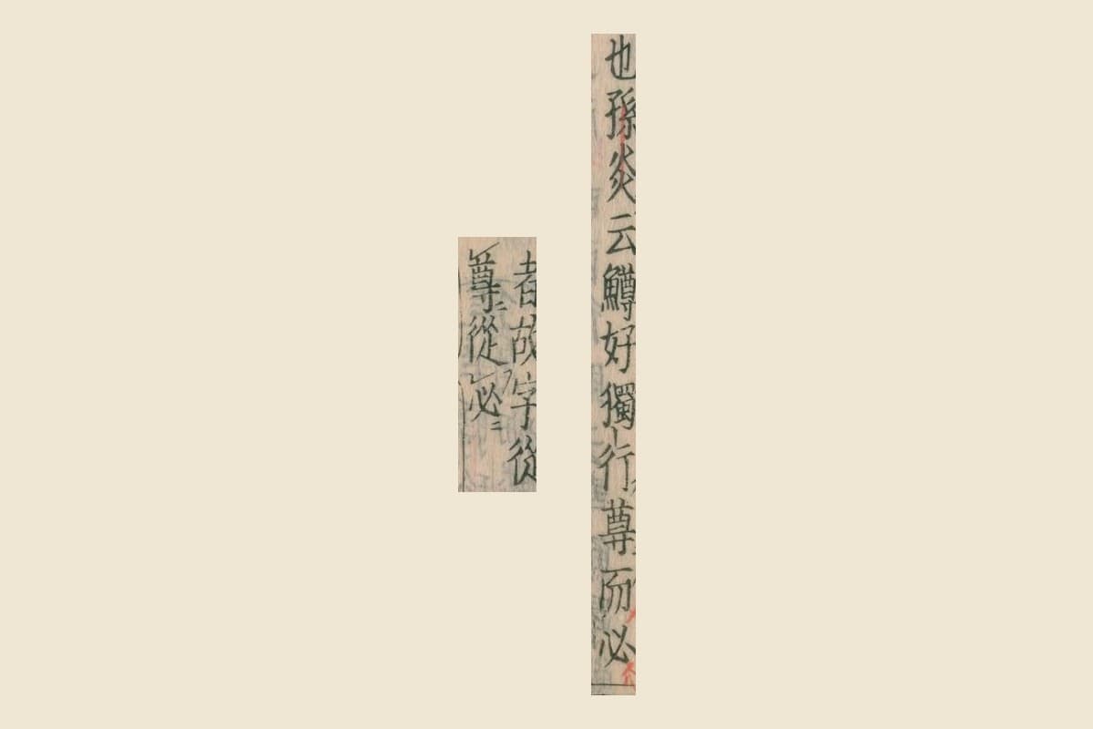 『本草綱目』コマ60の「也孫炎云鱒好獨行尊而必」と「者故字從尊從必」の大写し