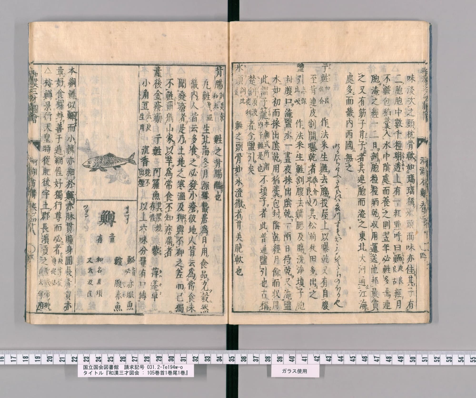 『和漢三才図会』巻四十八コマ9の見開き。左ページ上にマスの絵、その下に見出し「鱒」