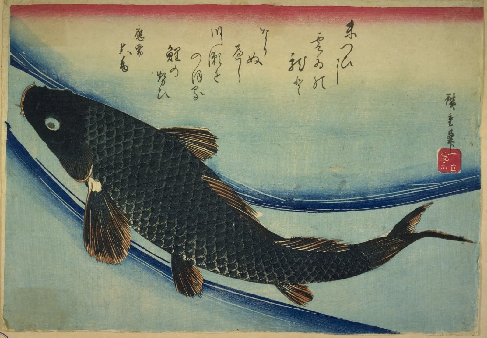 歌川広重『魚尽』の鯉。黒い鱗が一枚ずつ描かれた鯉が、水の流れの中を泳ぐ