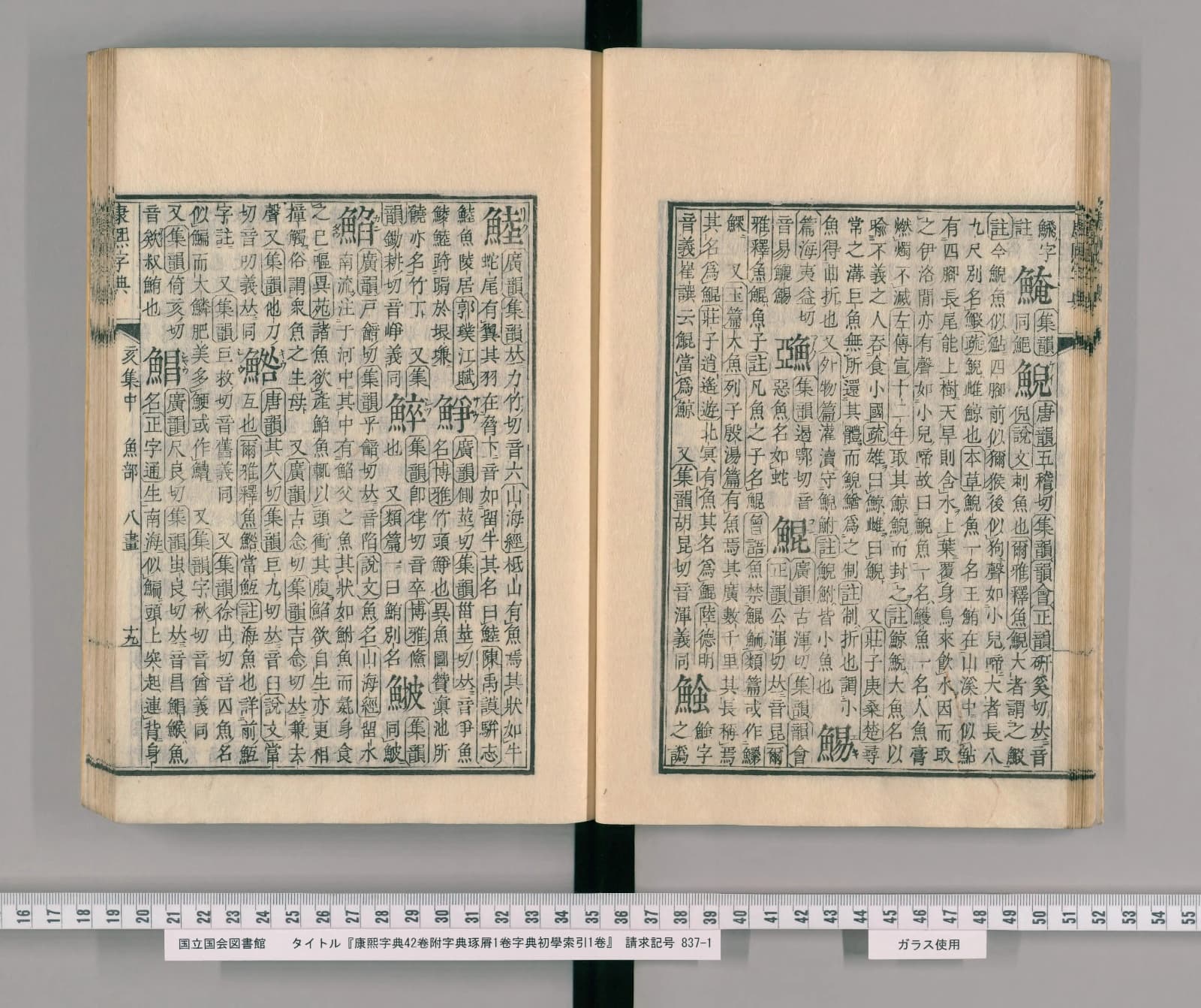 『康熙字典』魚部八畫コマ21の見開き。左ページの右端の列の頭に見出し「鯥」