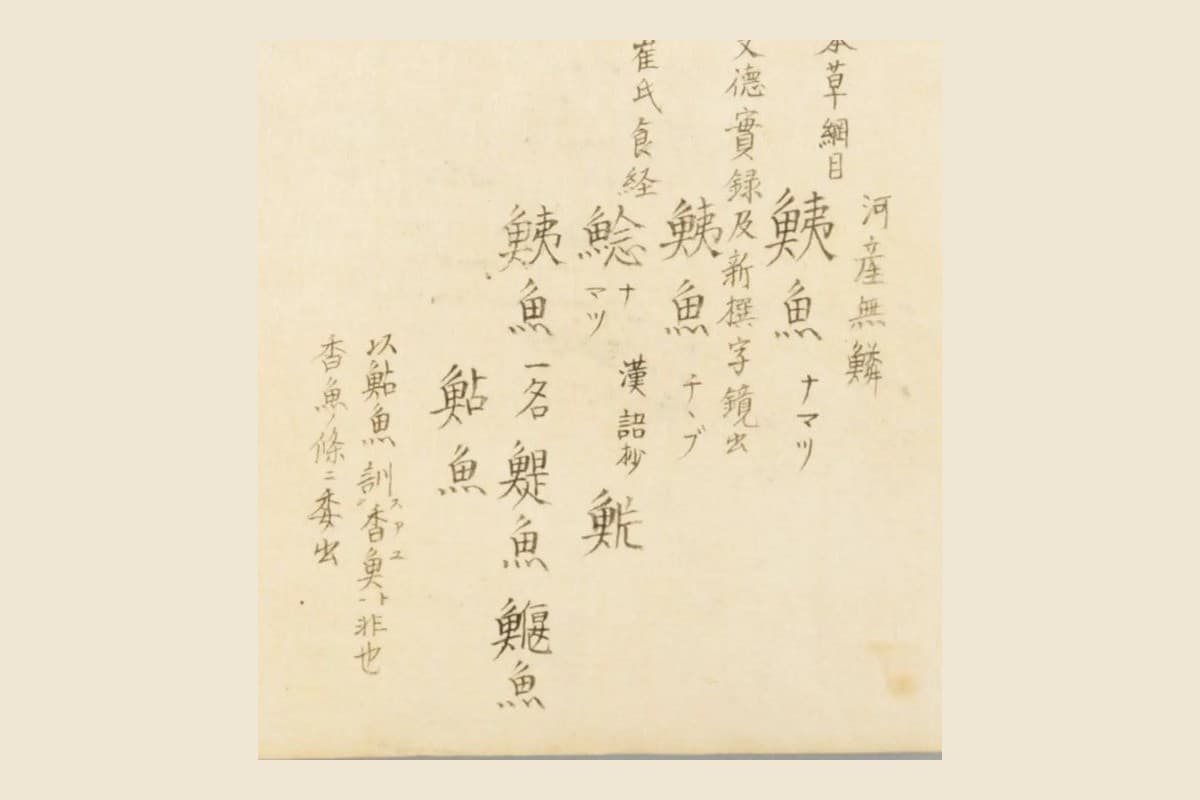『梅園魚品図正』のナマズの見出し群「本草綱目 鮧魚」「崔氏食経 鯰」「漢語抄 魸」「以鮎魚訓香魚非也」の大写し